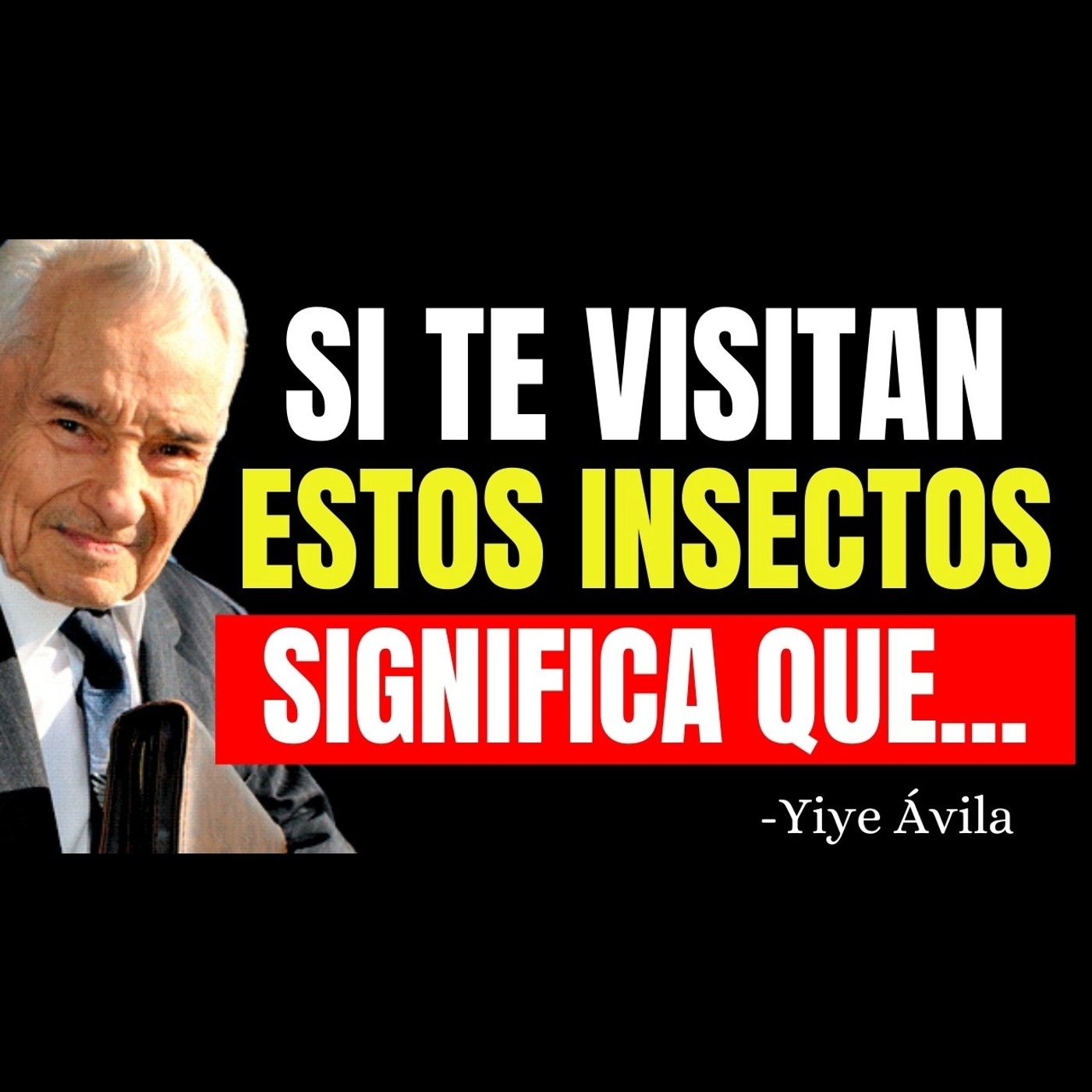 ¿Sabías que los insectos que aparecen en tu casa tienen significado espiritual? - Predicaciones Cristianas episode artwork