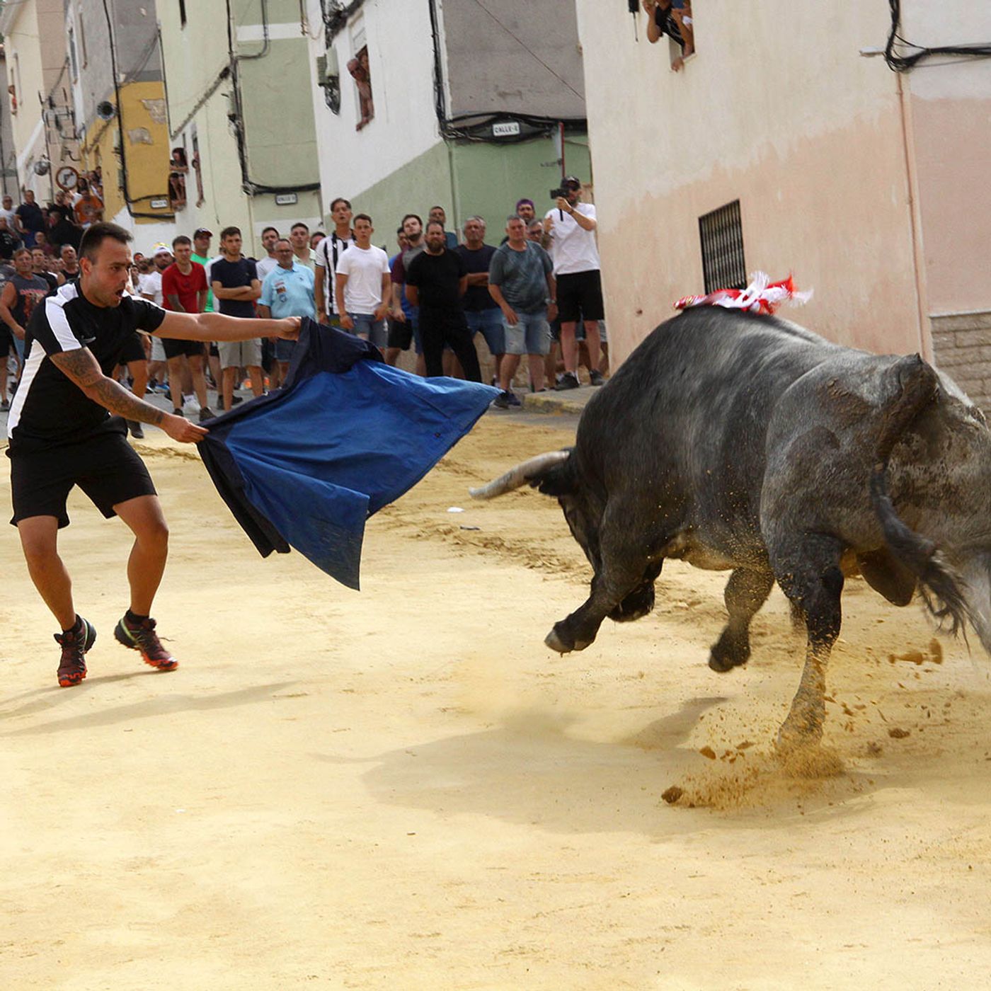 Hablemos de Toros