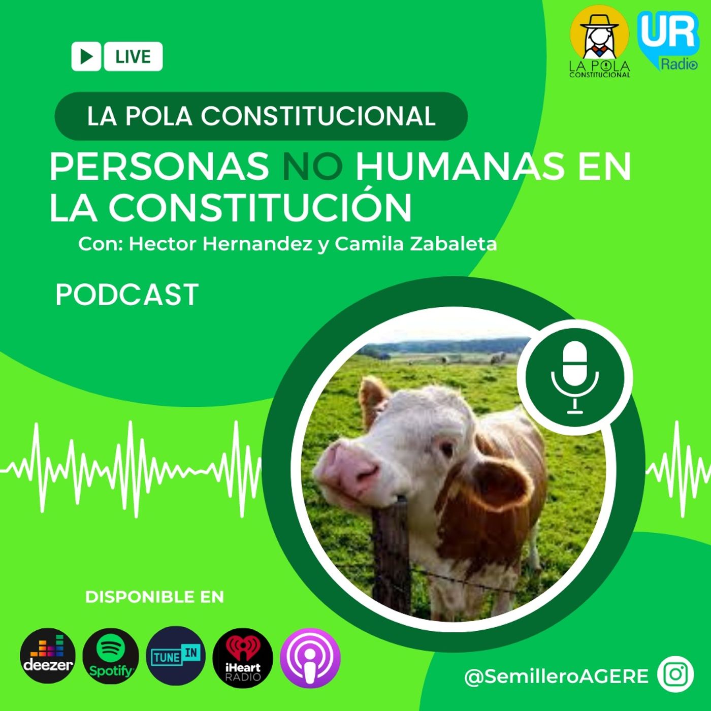 Personas no humanas en la constitución episode artwork