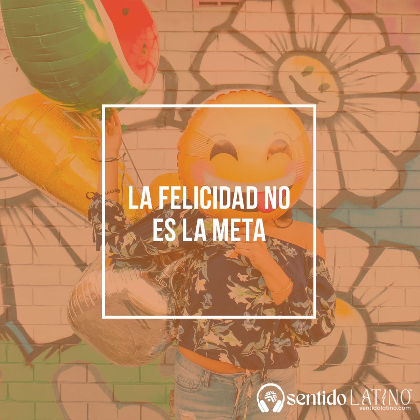 La felicidad no es la meta episode artwork