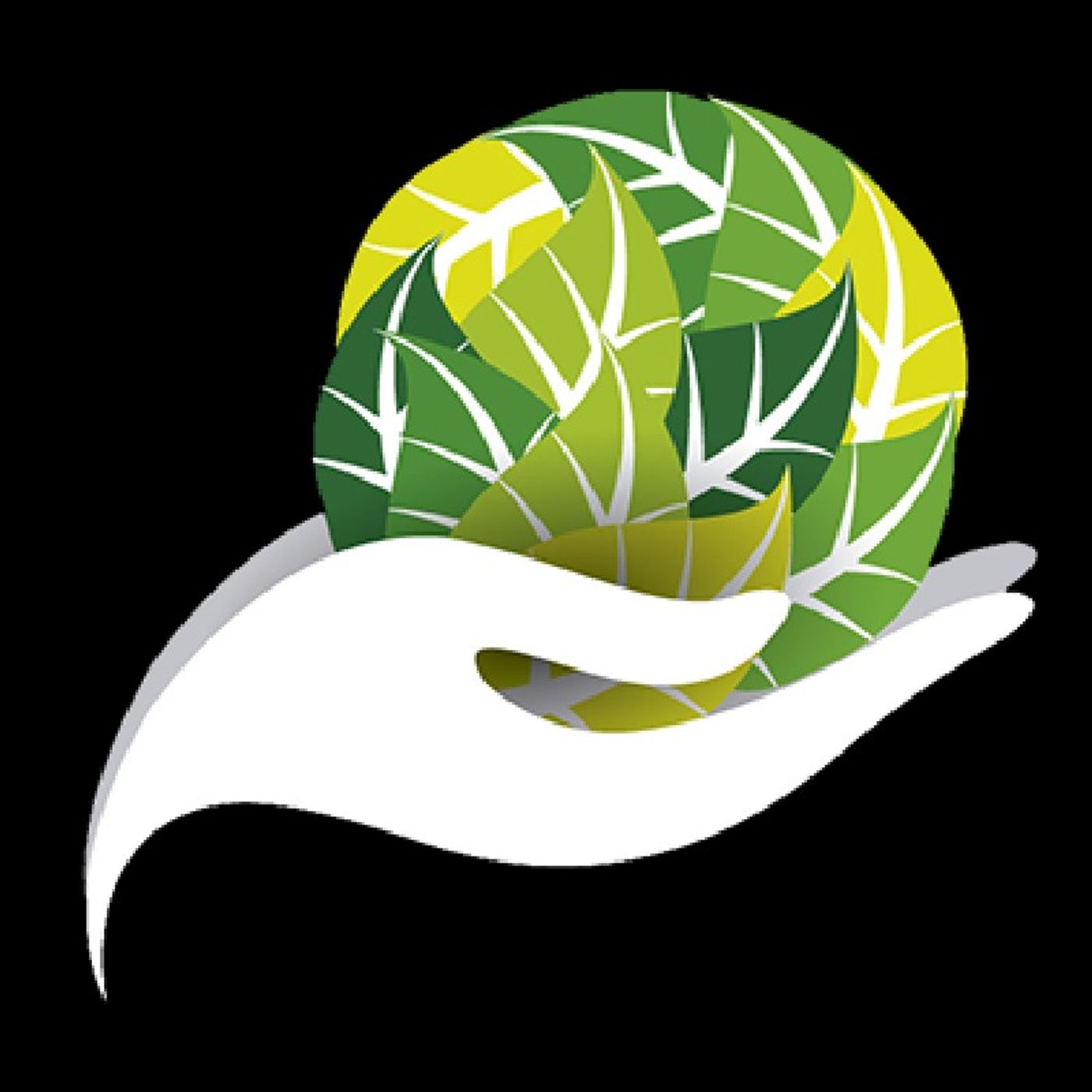 Pro-Ambiental FM (Piloto)