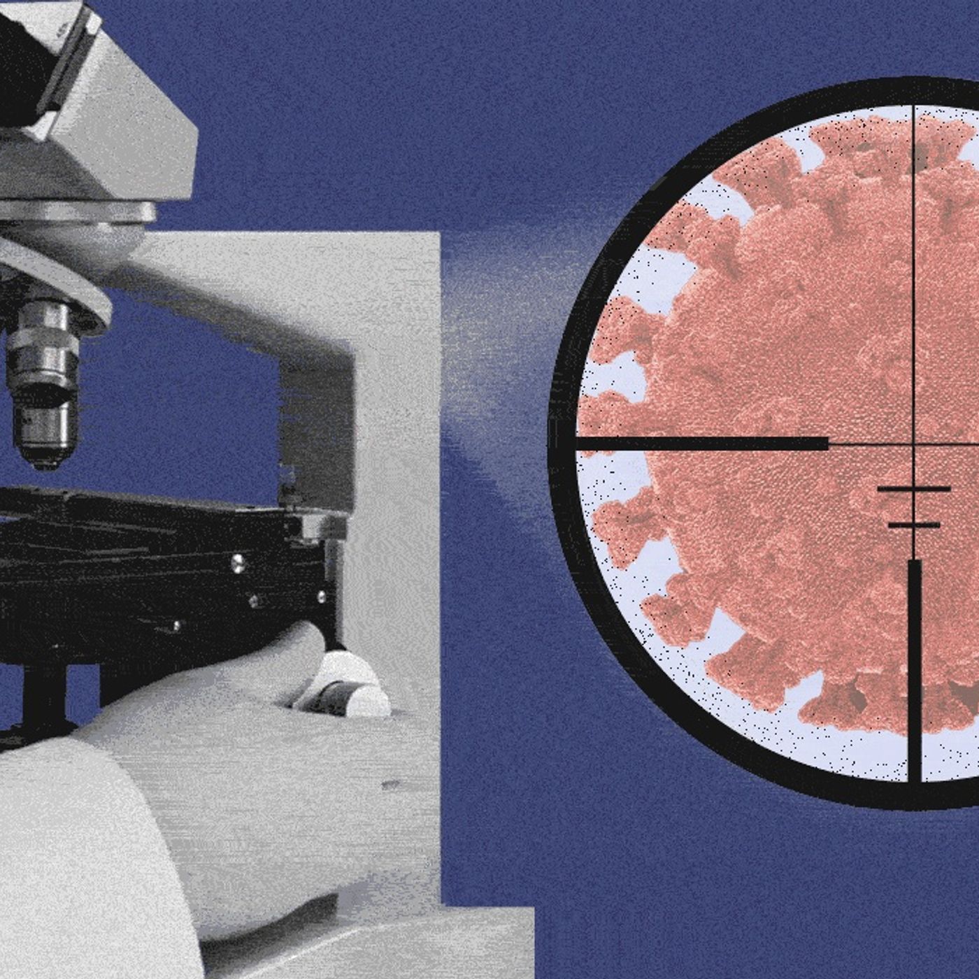 La Química y la Biologia aporta al Covid