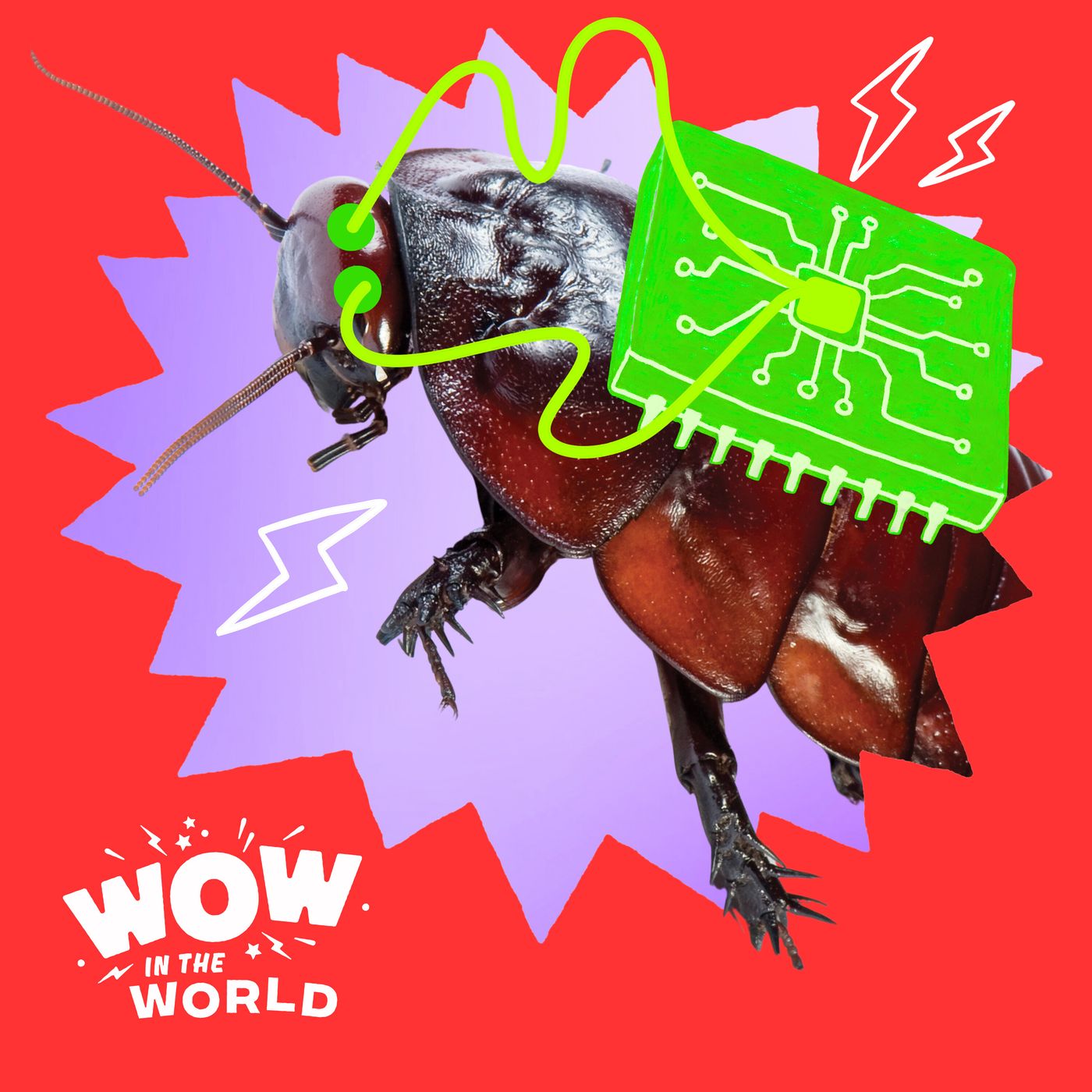 RoachBot to the Rescue! Meet the Six-Legged Cyborg Superhero Built for Search and Rescue episode artwork