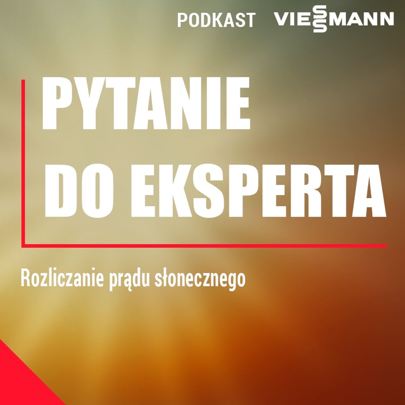 Ekspert Viessmann - Rozliczanie prądu słonecznego