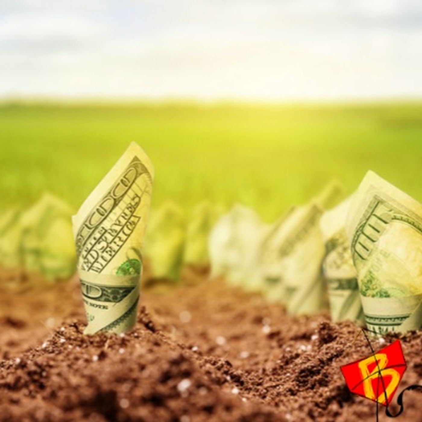 Lado B do Rio  #242 - Contra a financeirização da natureza (c/ Camila Moreno)