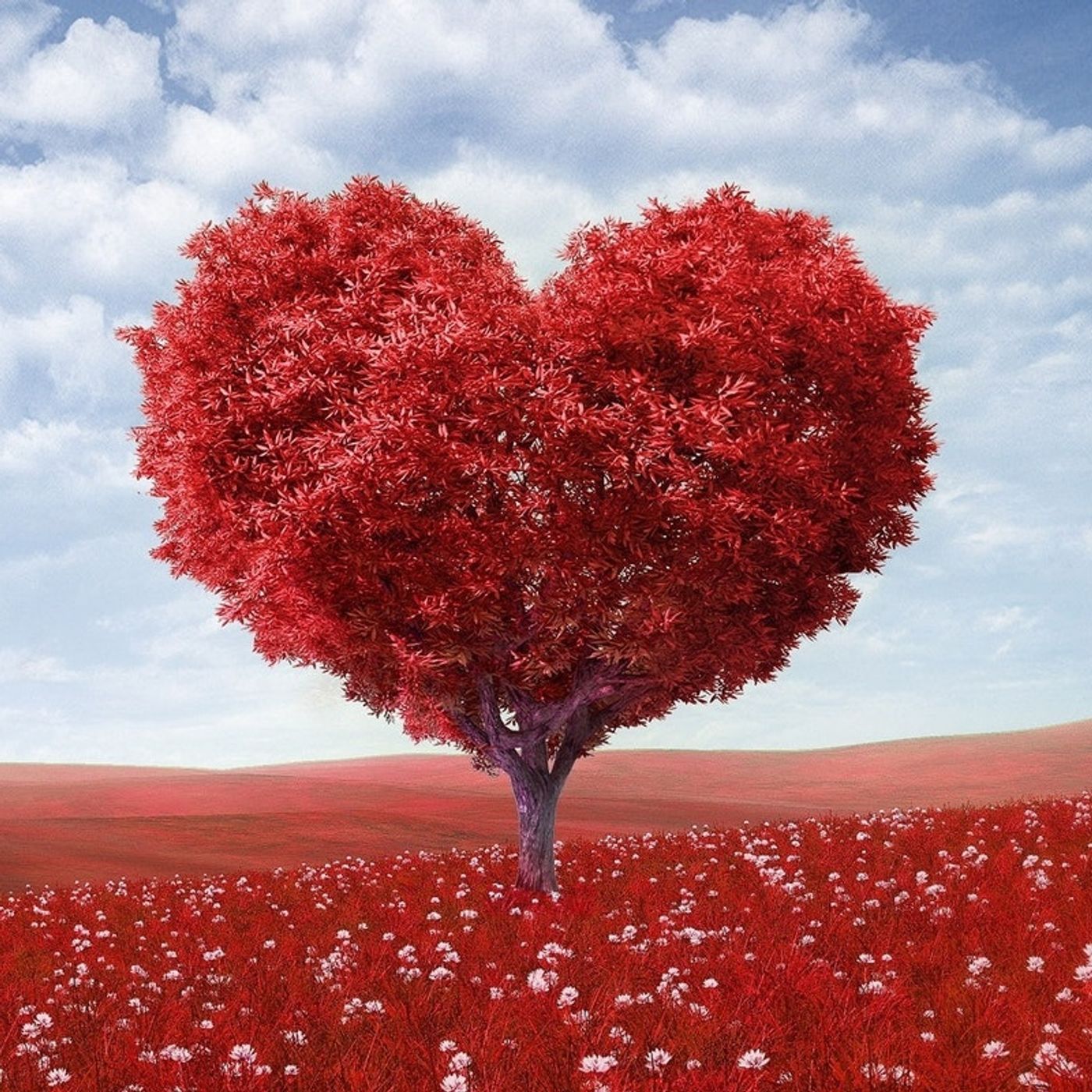 KAZANIA - Uczeń Jezusa