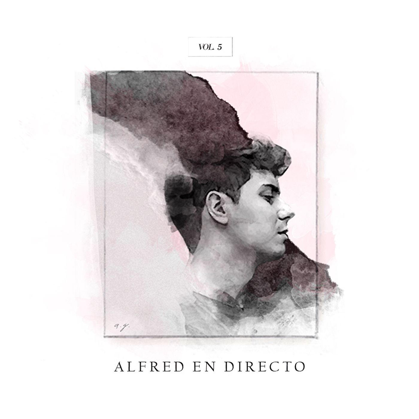 ALFRED COVERS -1016