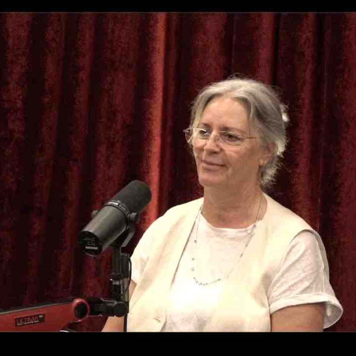 Joe Rogan Experience _2294 - Dr. Suzanne Humphries(MP3_160K)
