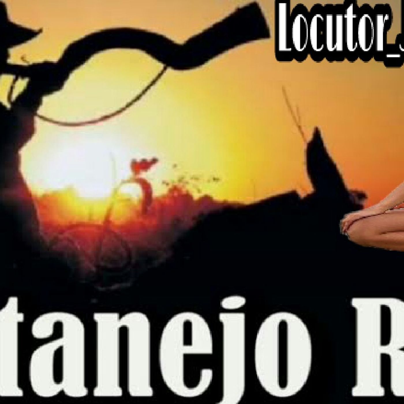 Programa  De Sertanejo