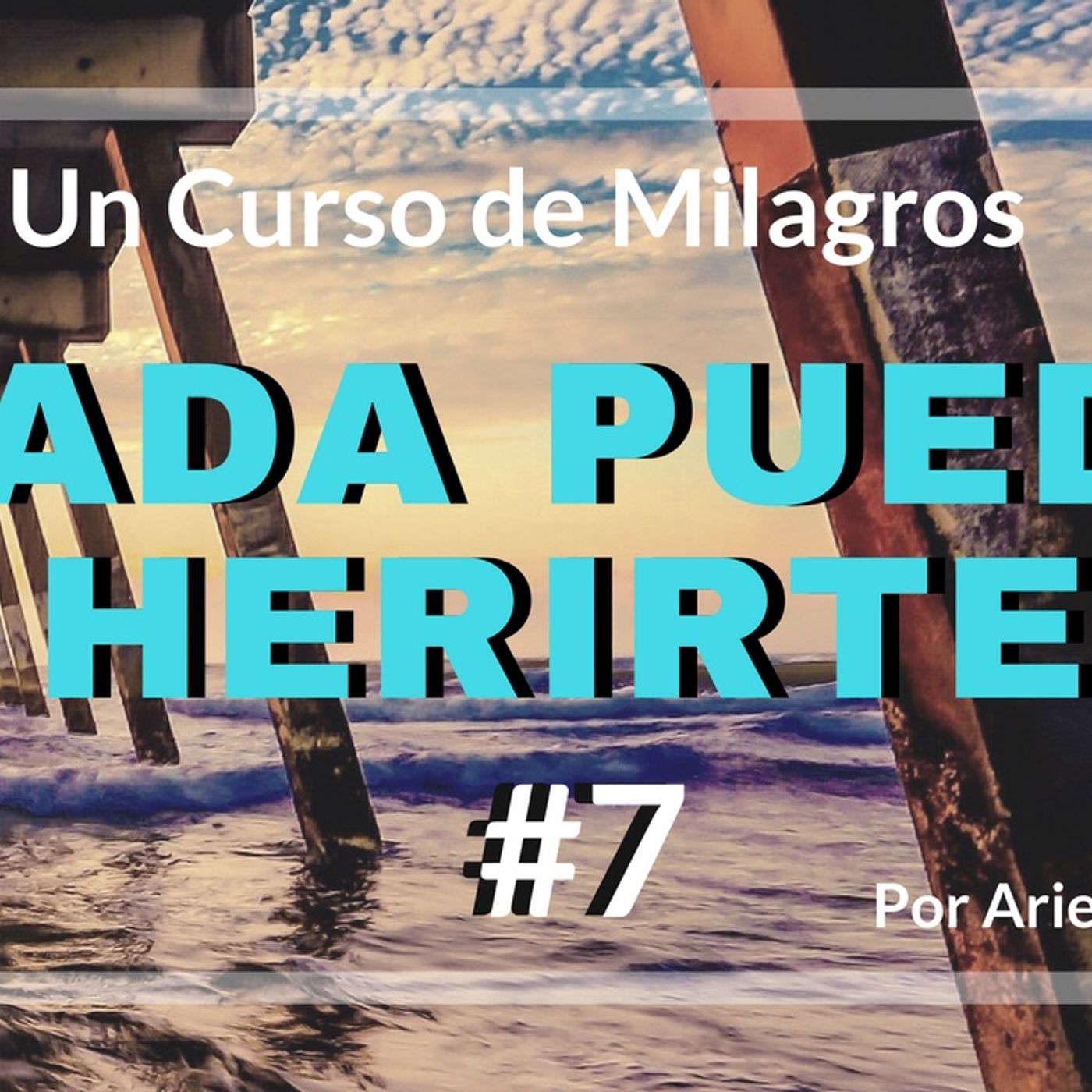 Ariel Partida con \