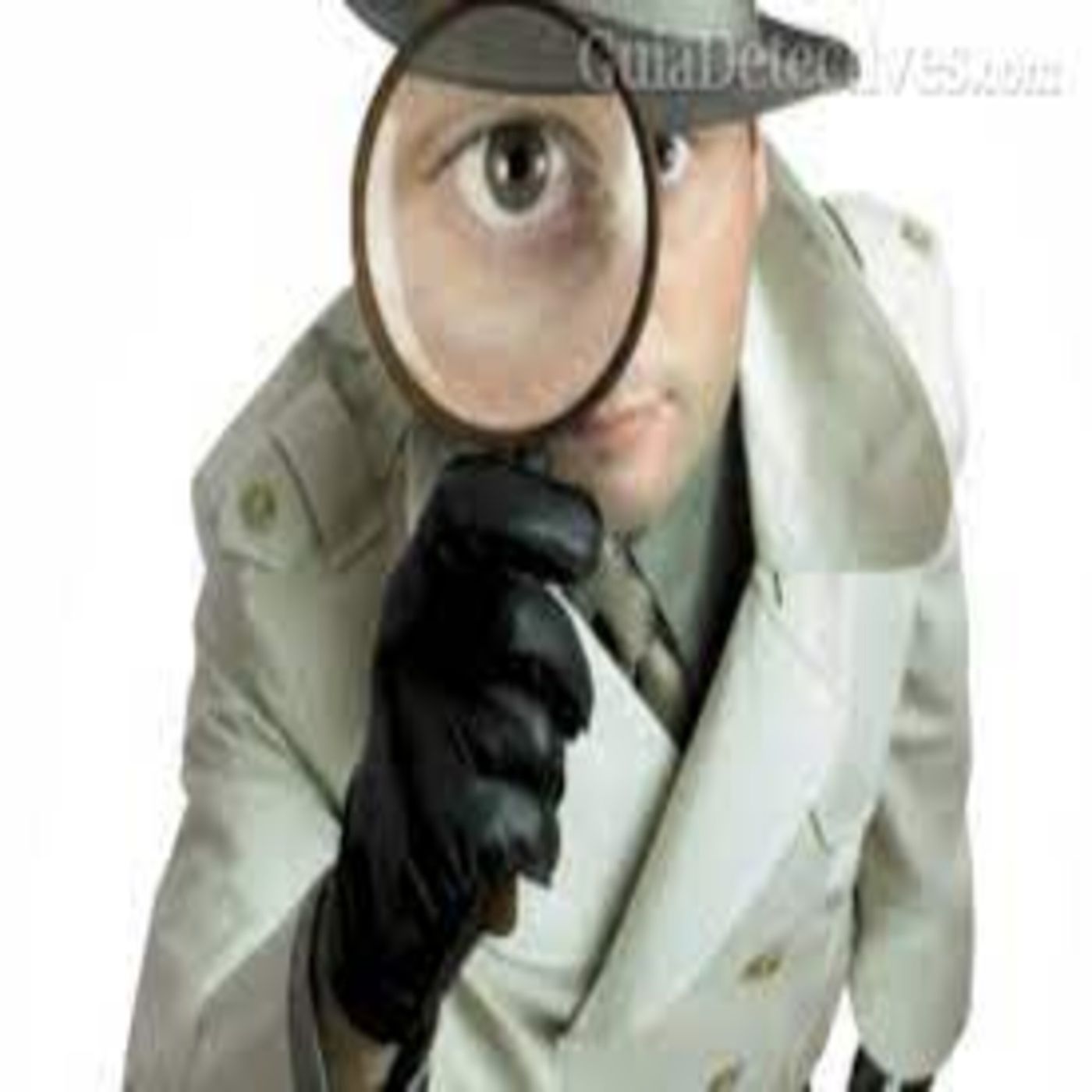 48 El detective privado en el ambito familiar episode artwork