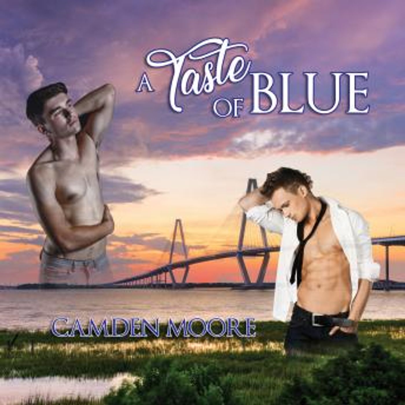 A Taste of Blue by Camden Moore episode artwork