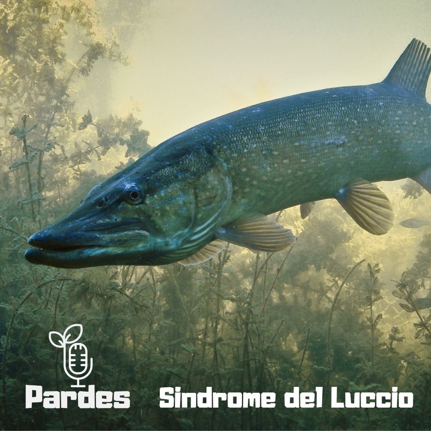 PARDES coltiviamo il futuro con curiosità