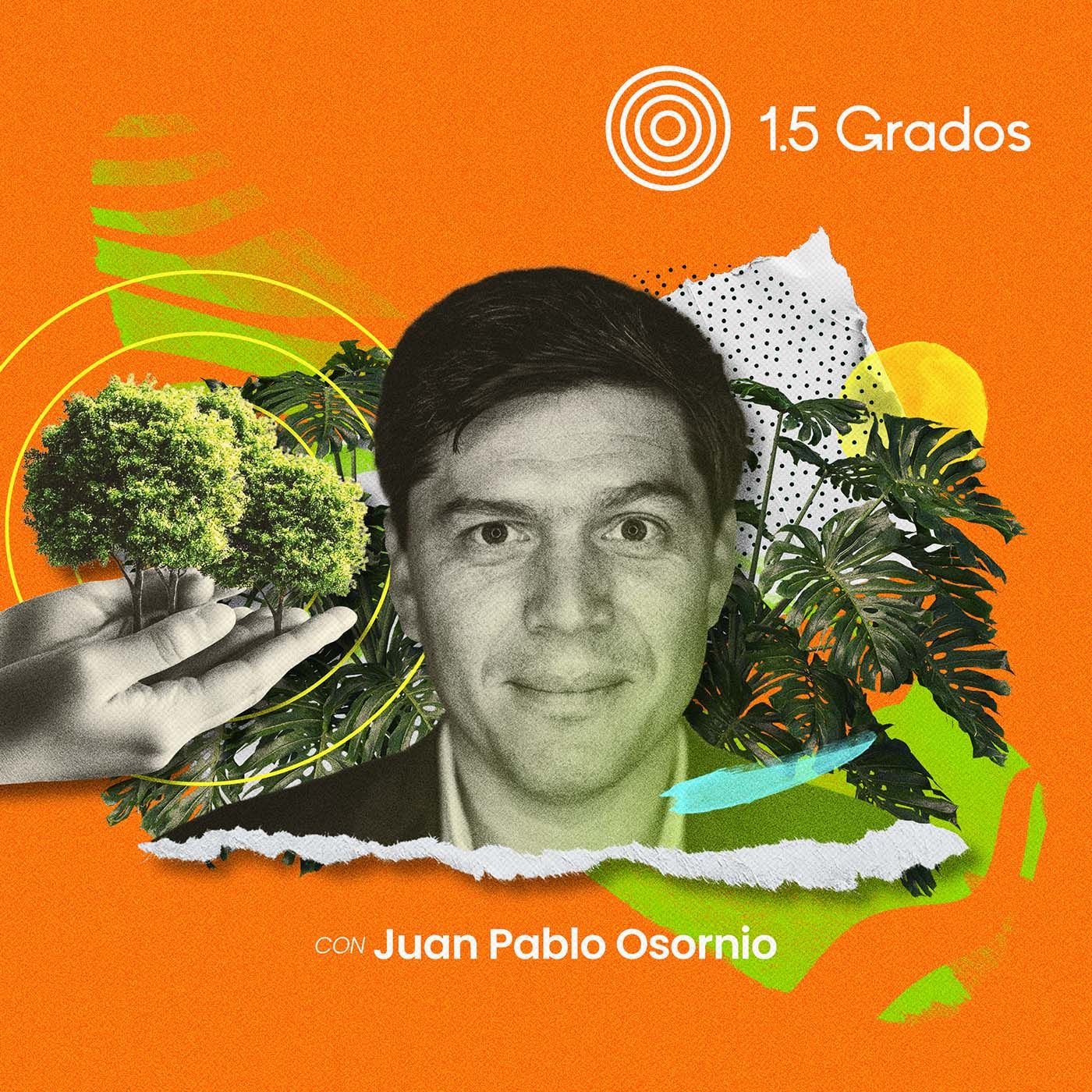 Un fondo para el futuro de los bosques