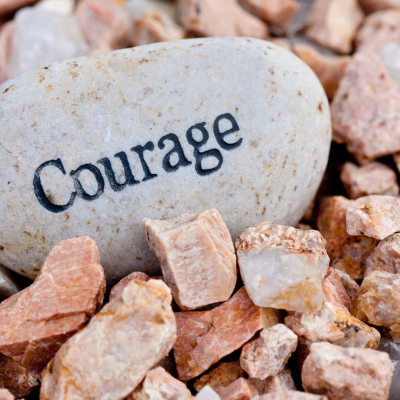 Mastering Courage (free Series)