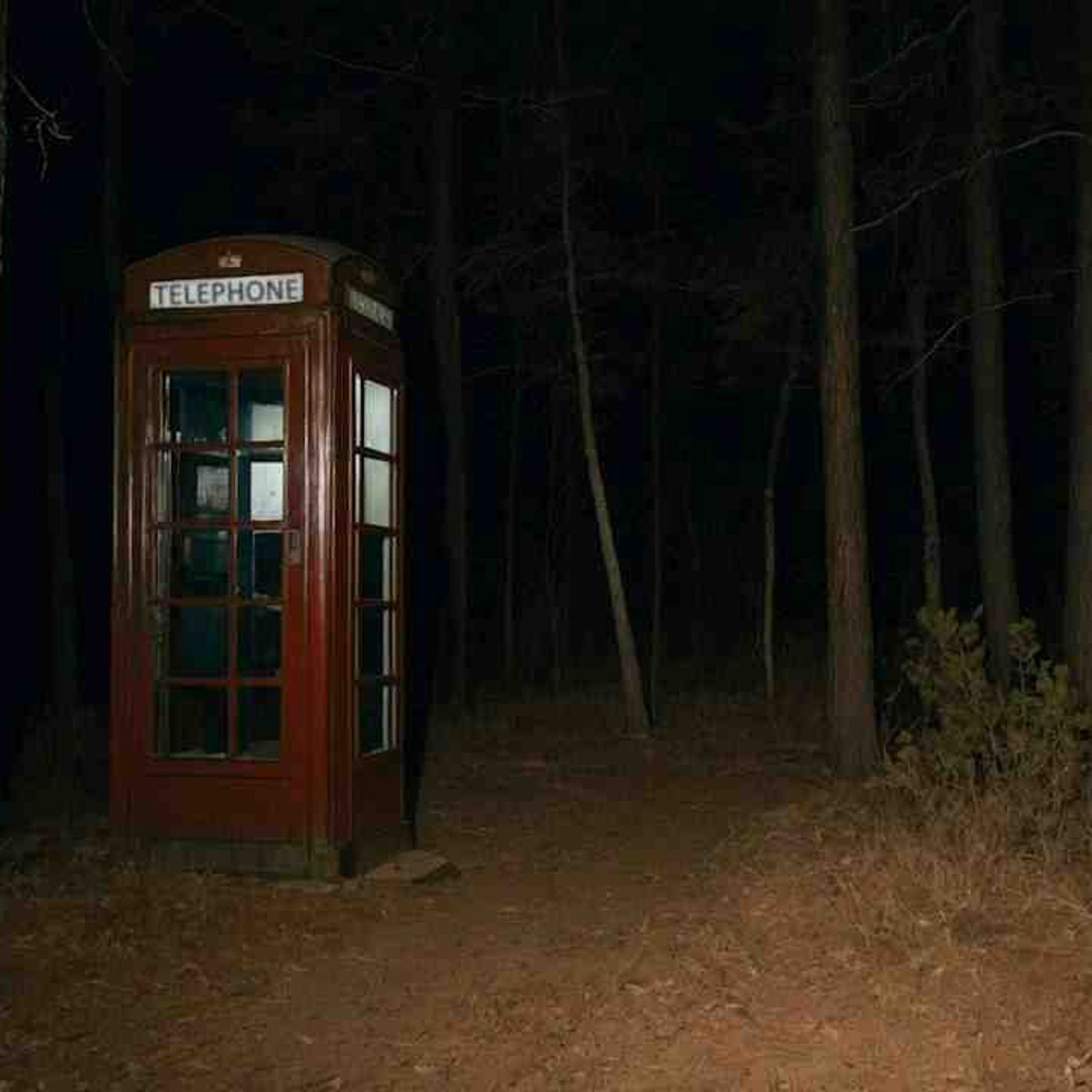 7Most Disturbing Things Found in the Woods