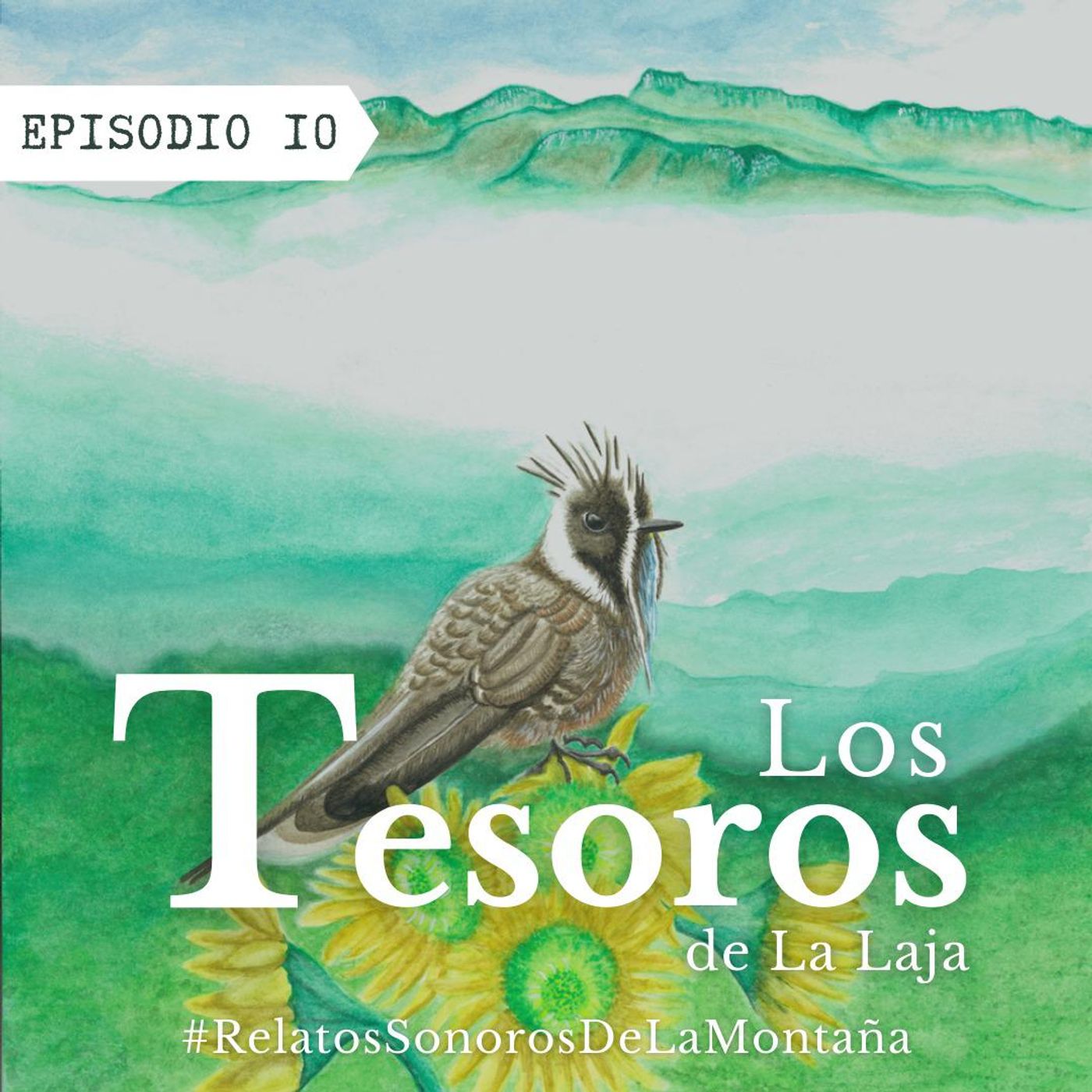 Relatos Sonoros de la Montaña