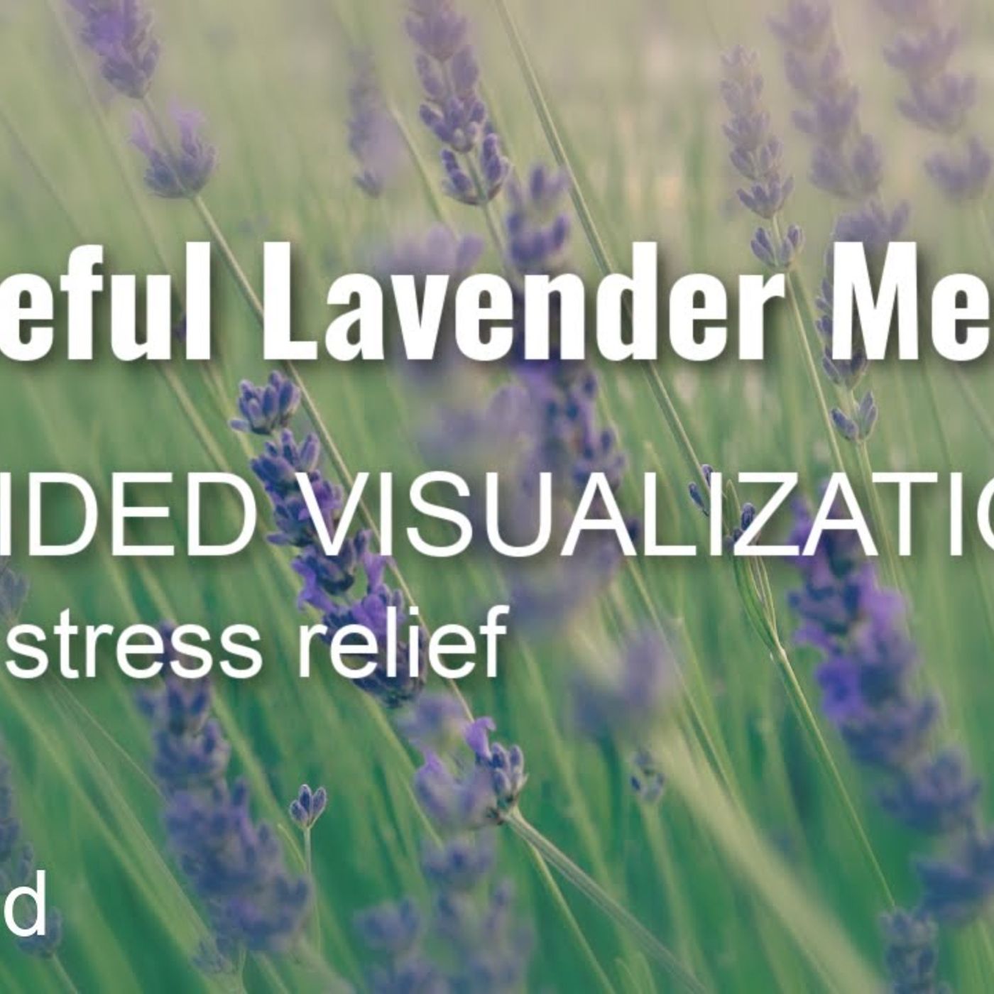 PEACEFUL LAVENDER MEADOW Guided Visualization for Stress Relief (reupload) _old video from 2014_(M4A_128K)