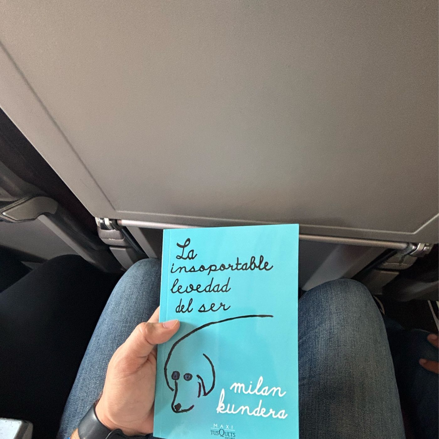 Reseña Del libro La Insoportable Levedad podcast artwork