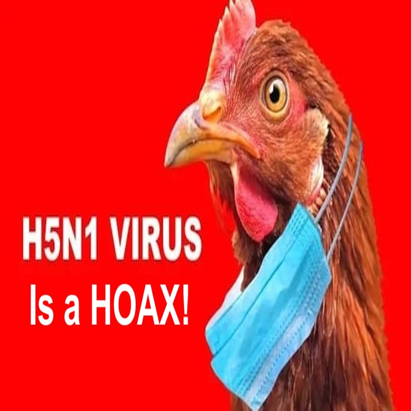 Your DIY Health ~ Natural Solutions ~ M-Th  1:00 p.m. - 3:00 p.m. EST / Tue & Thur 10 a.m. - Noon