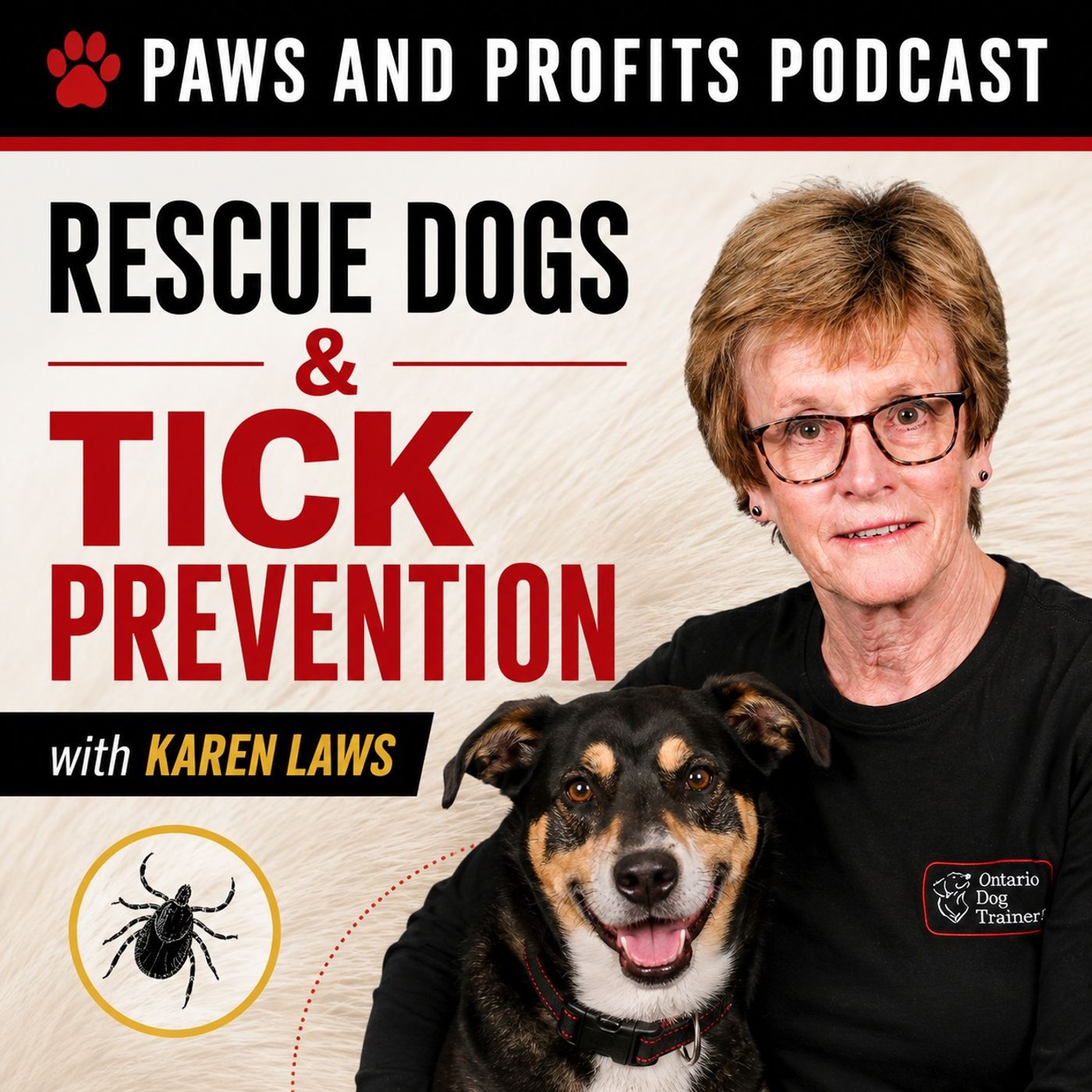 Helping Rescue Dogs Feel Safe — and Keeping Ticks Off Them
