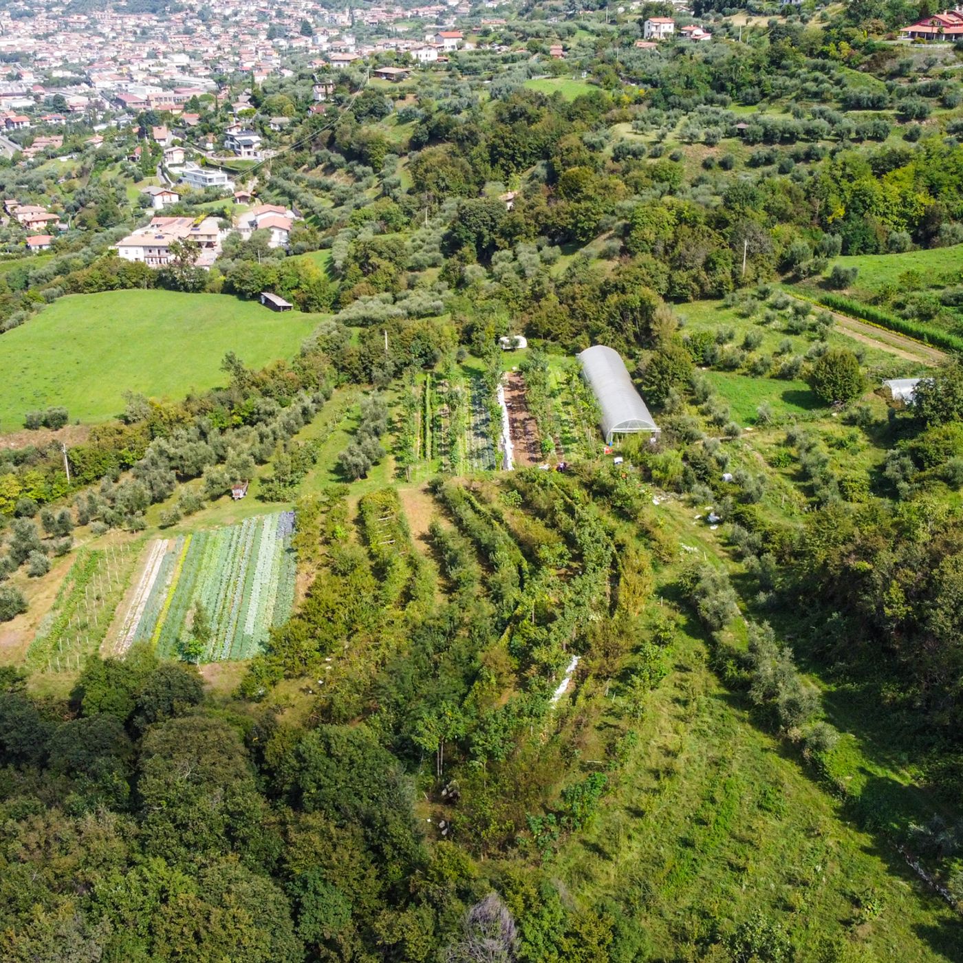 La cura della terra
