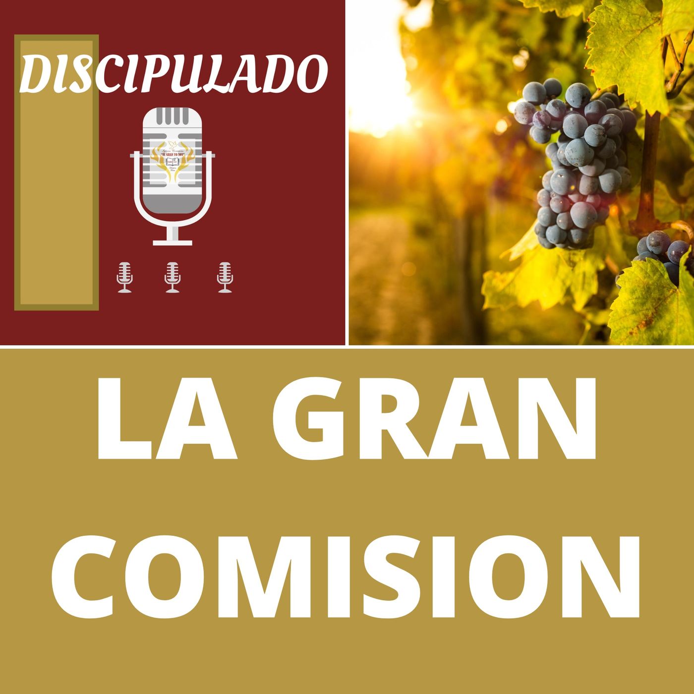 Iglesia Cristiana  \
