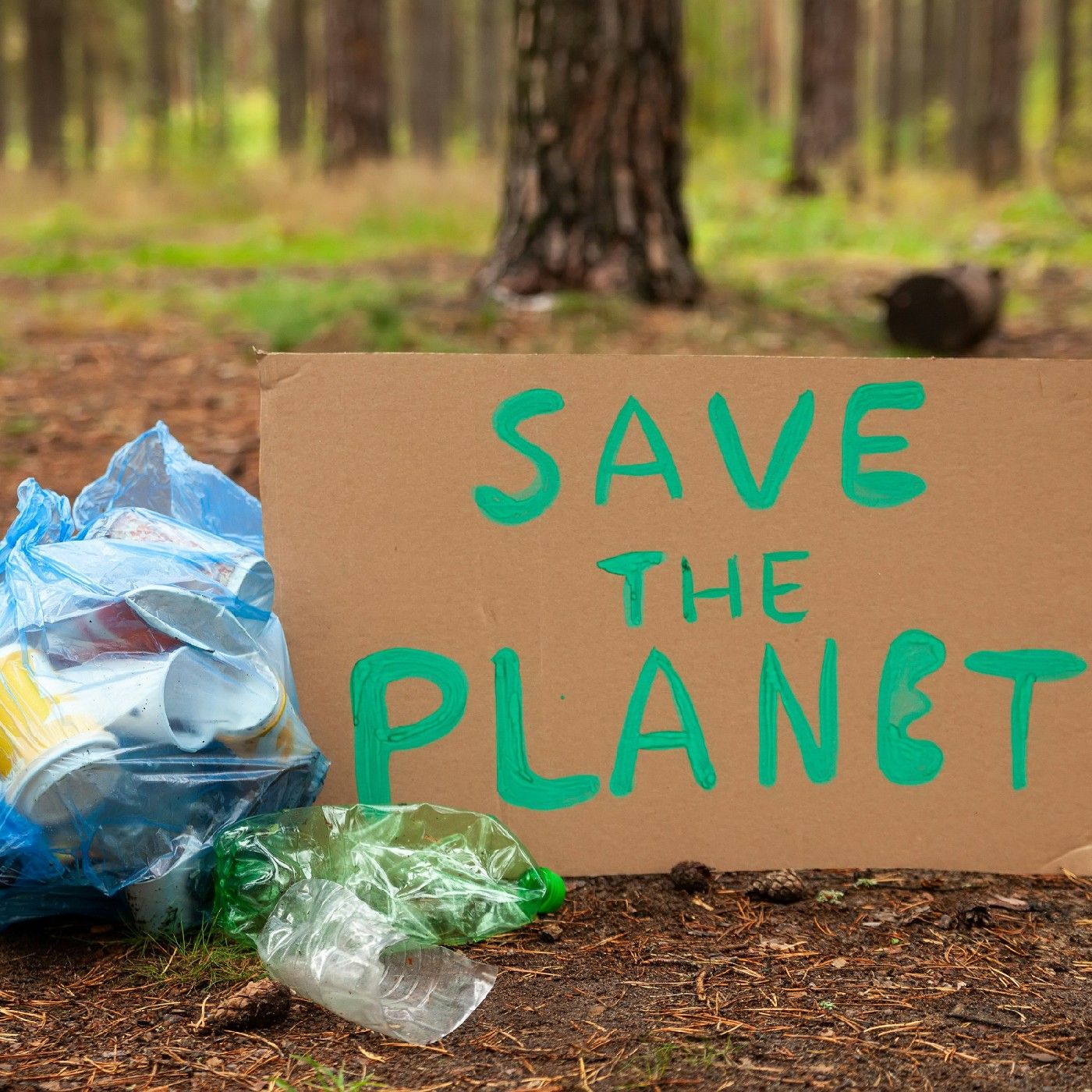 La conservación ambiental episode artwork