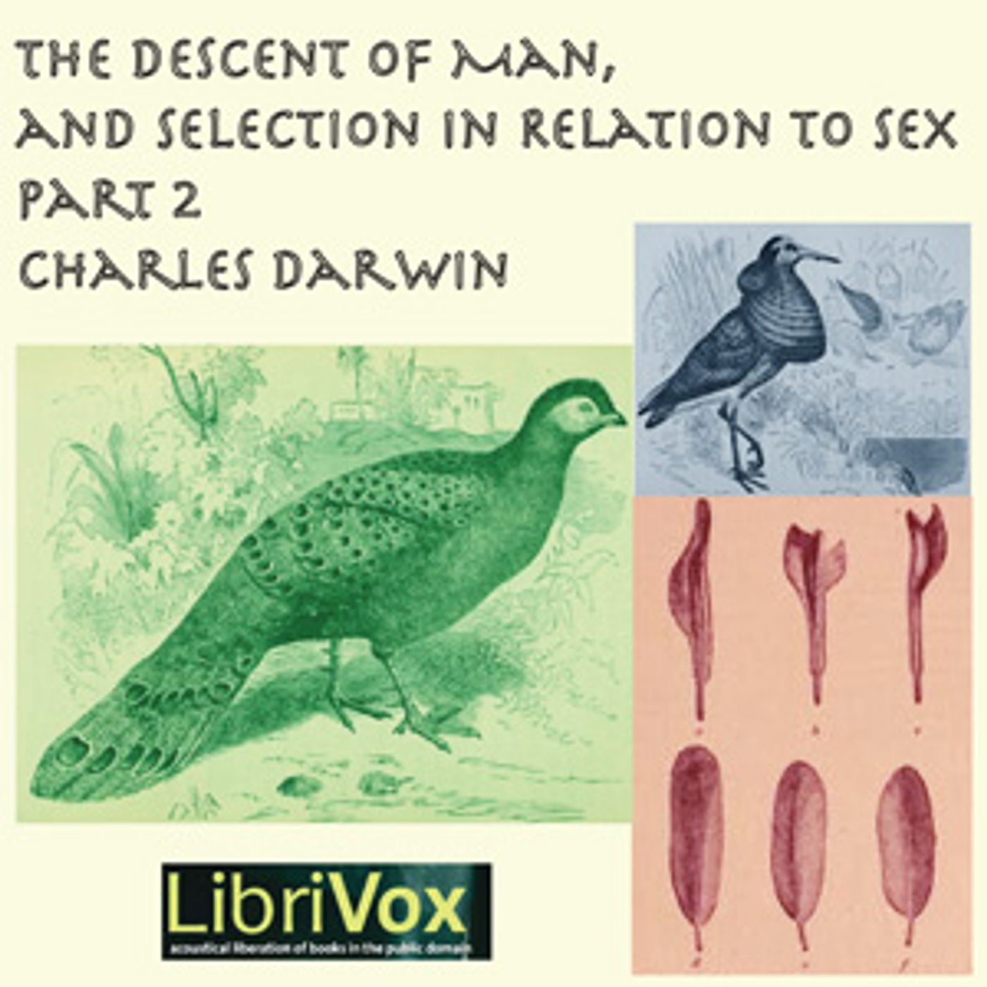 Charles Darwin - The Descent of Man and Selection in Relation to Sex, Part 2 cover art