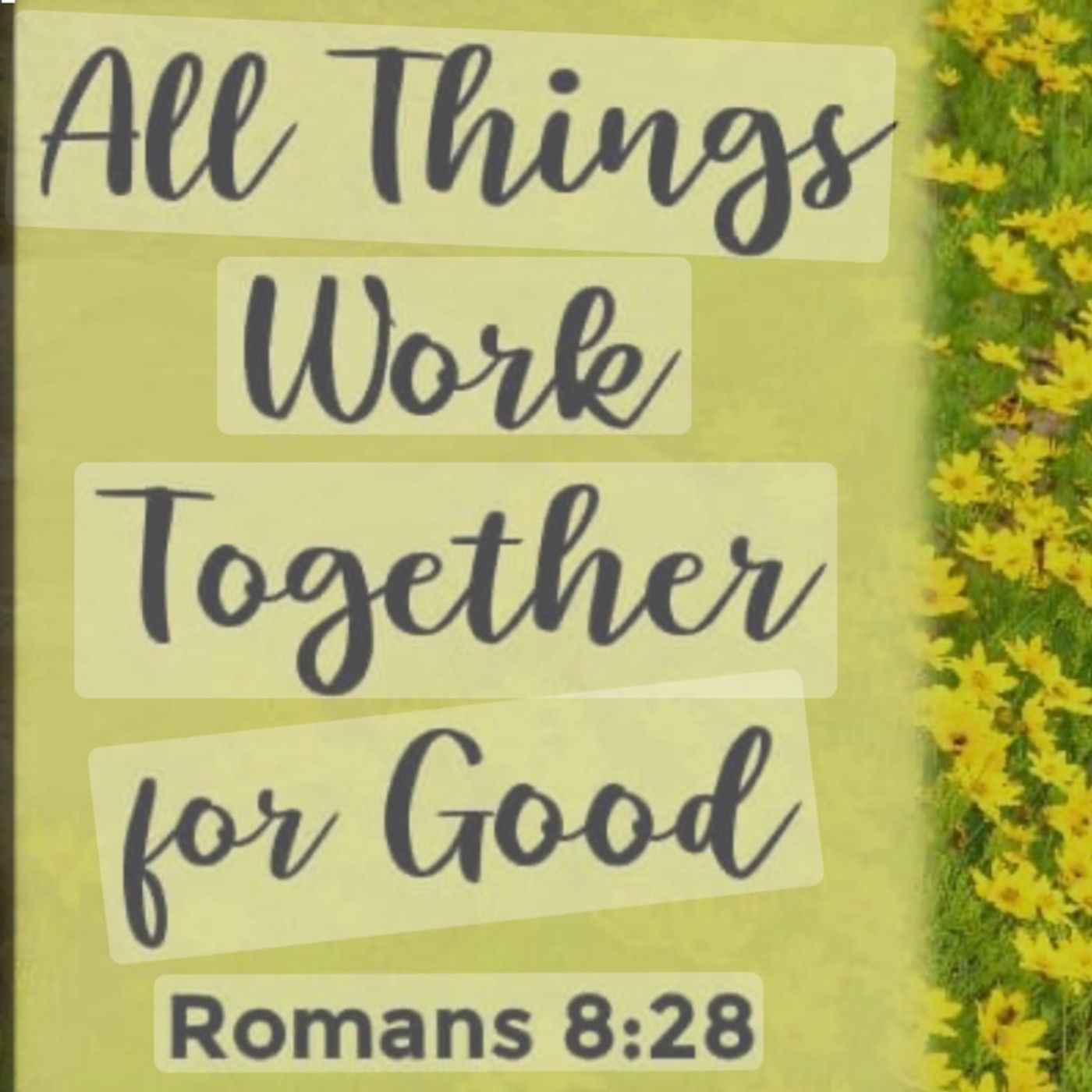 85) Being God’s Vessel Podcast - His Word is Alive!