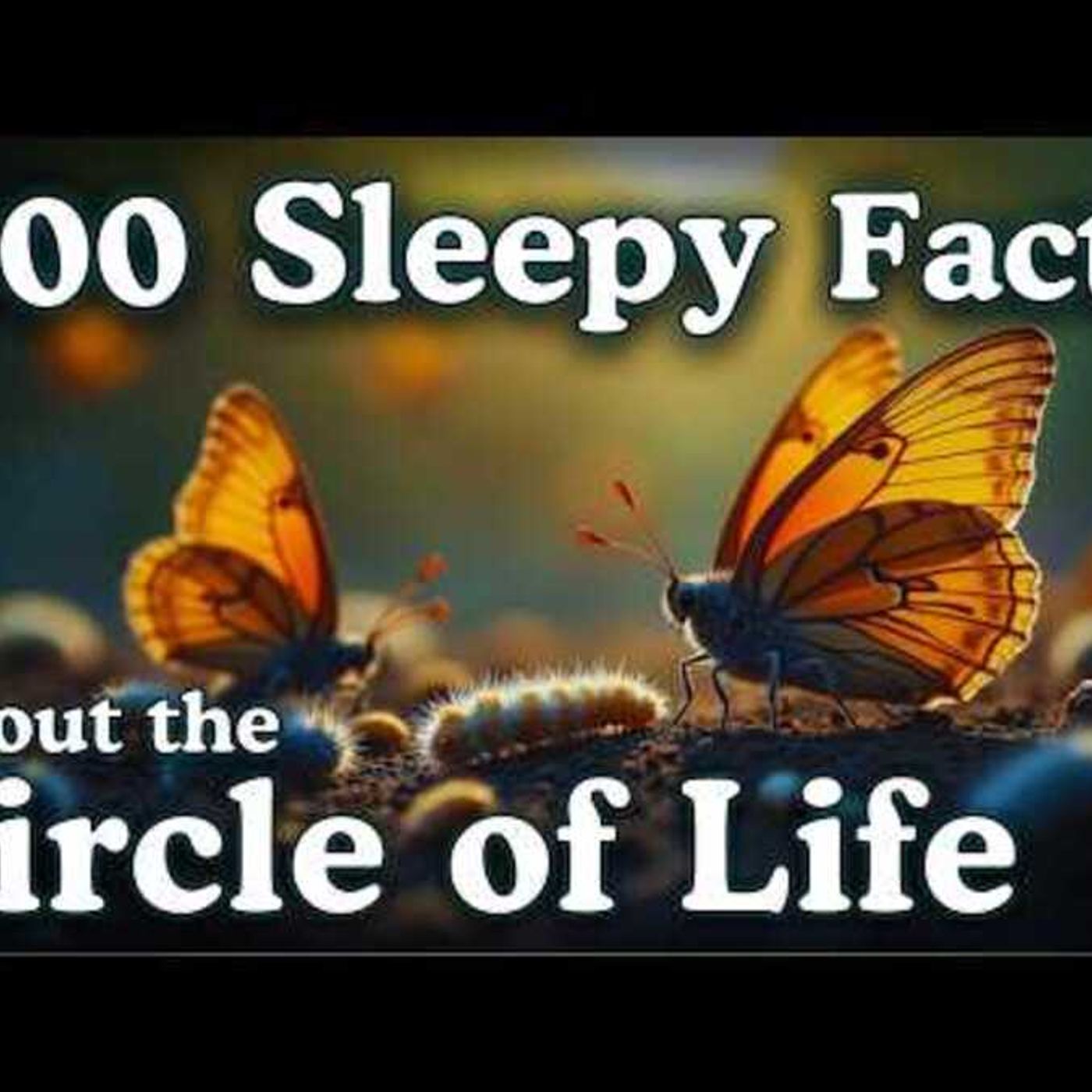 The Circle of Life _ 100 Facts to Fall Asleep To _ No Adverts episode artwork