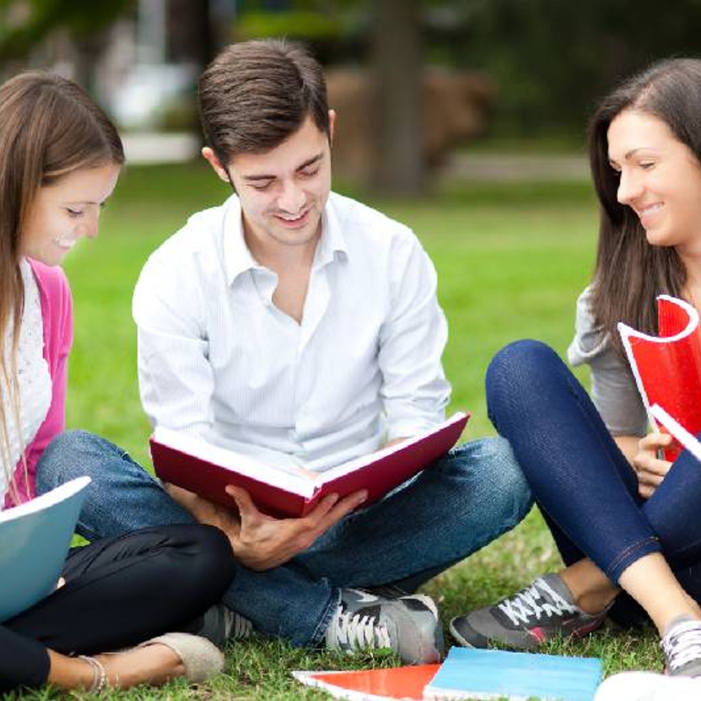 Why the Best Students Swear by College Study Groups