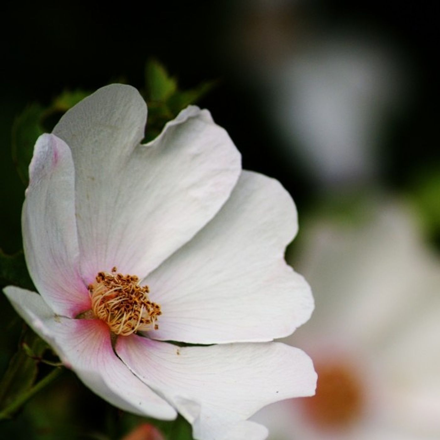 Espiritualidade Católica