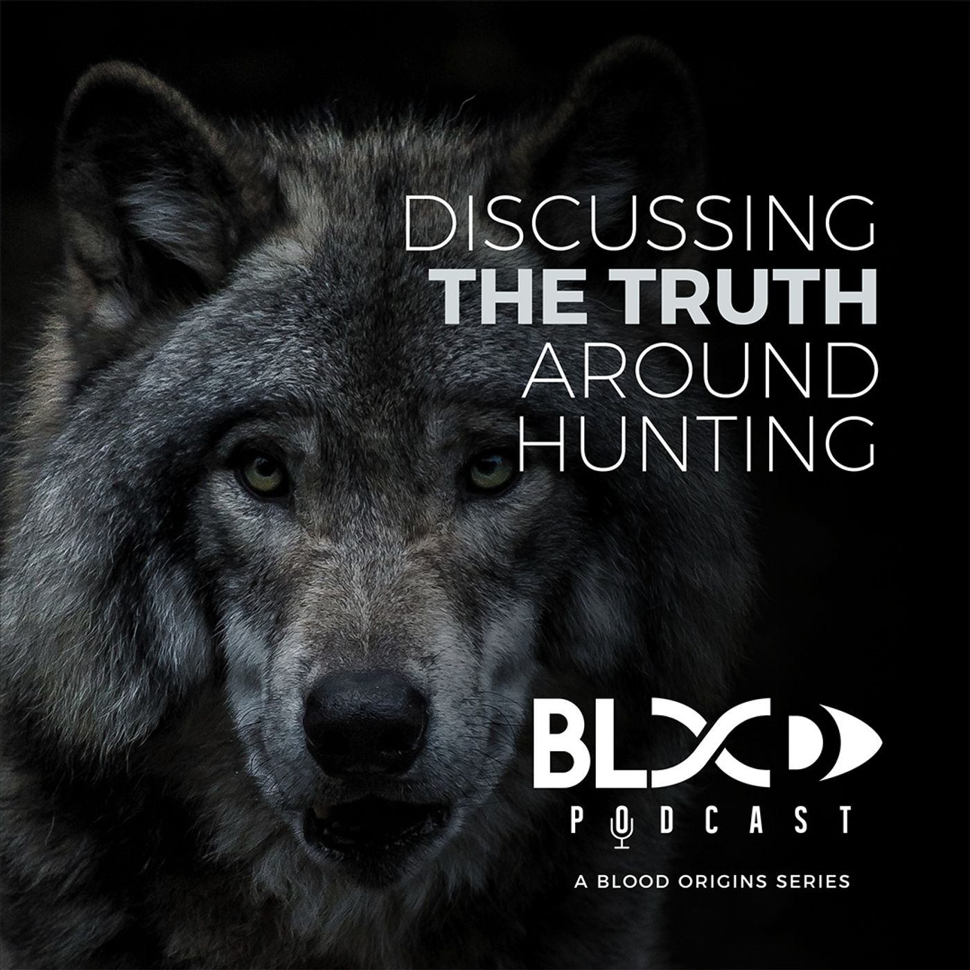 Blood Origins