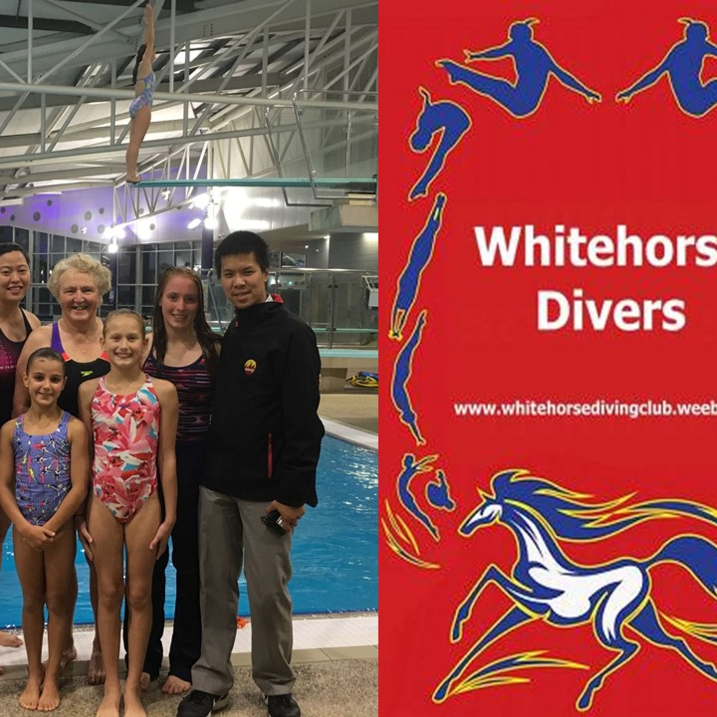 SSS: WHITEHORSE DIVING CLUB 140318 episode artwork