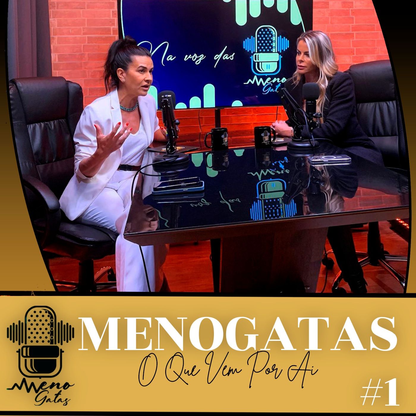 Na Voz das Menogatas