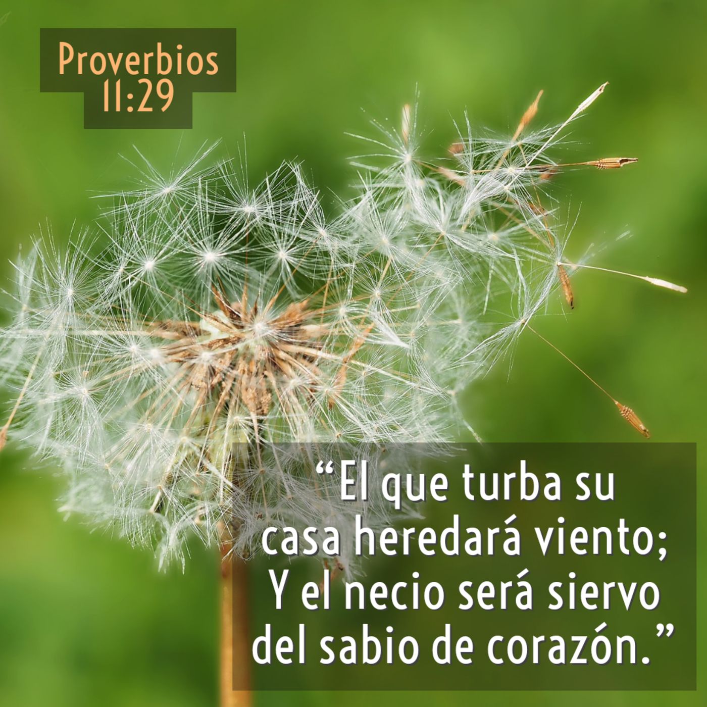 Joyas de Sabiduría (Libro de Proverbios)