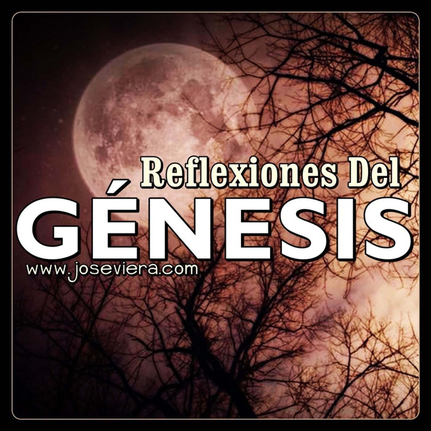 Reflexiones del Génesis