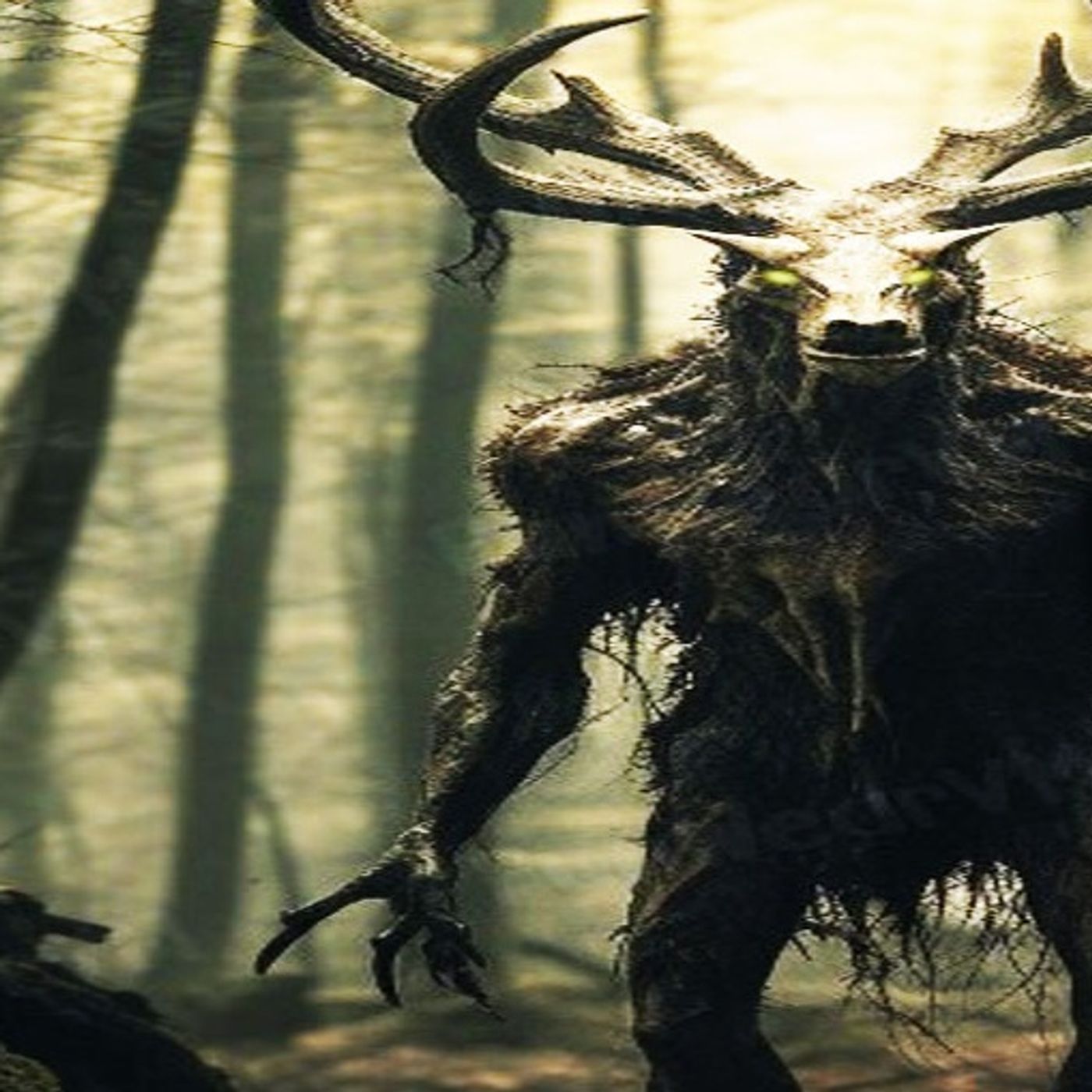 El VENADO MALDITO - Historias De Terror - Voces De La Noche