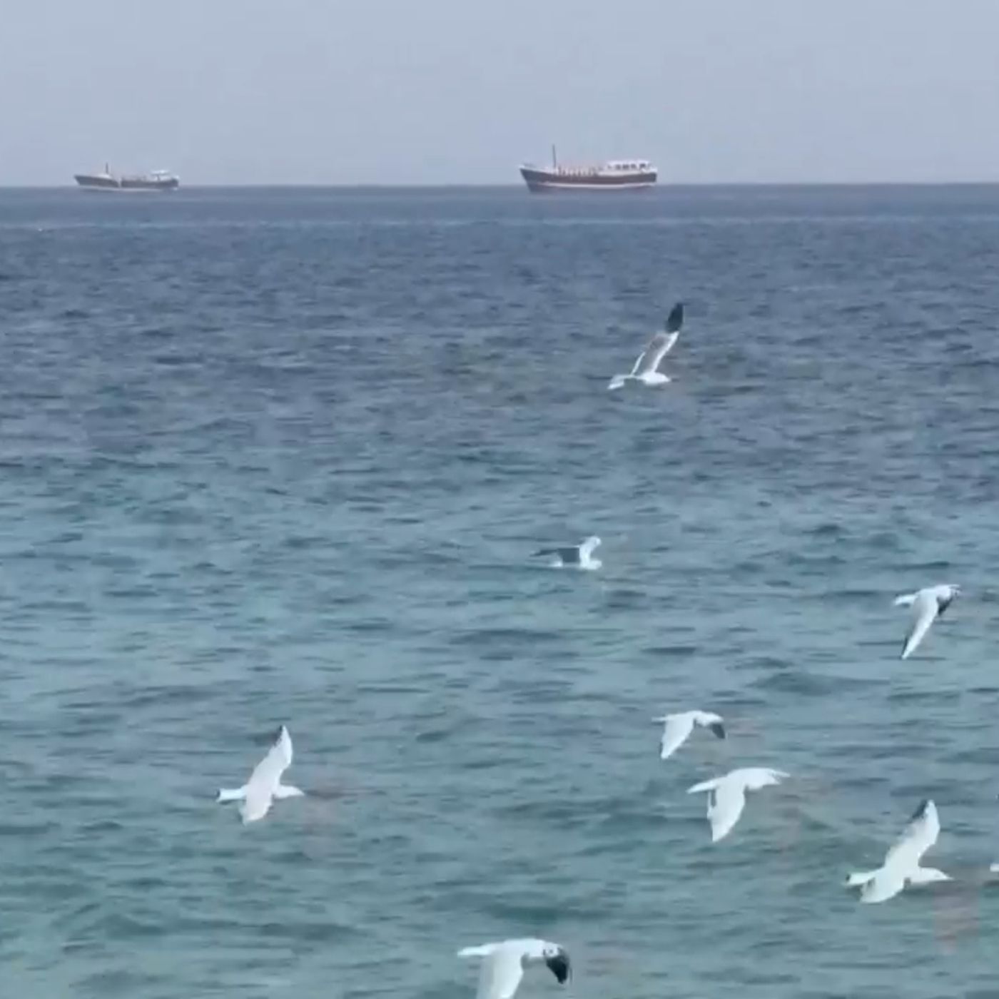 Iran-Usa: ancora stallo su Hormuz. Araqchi: “No colloqui in corso con Usa” episode artwork