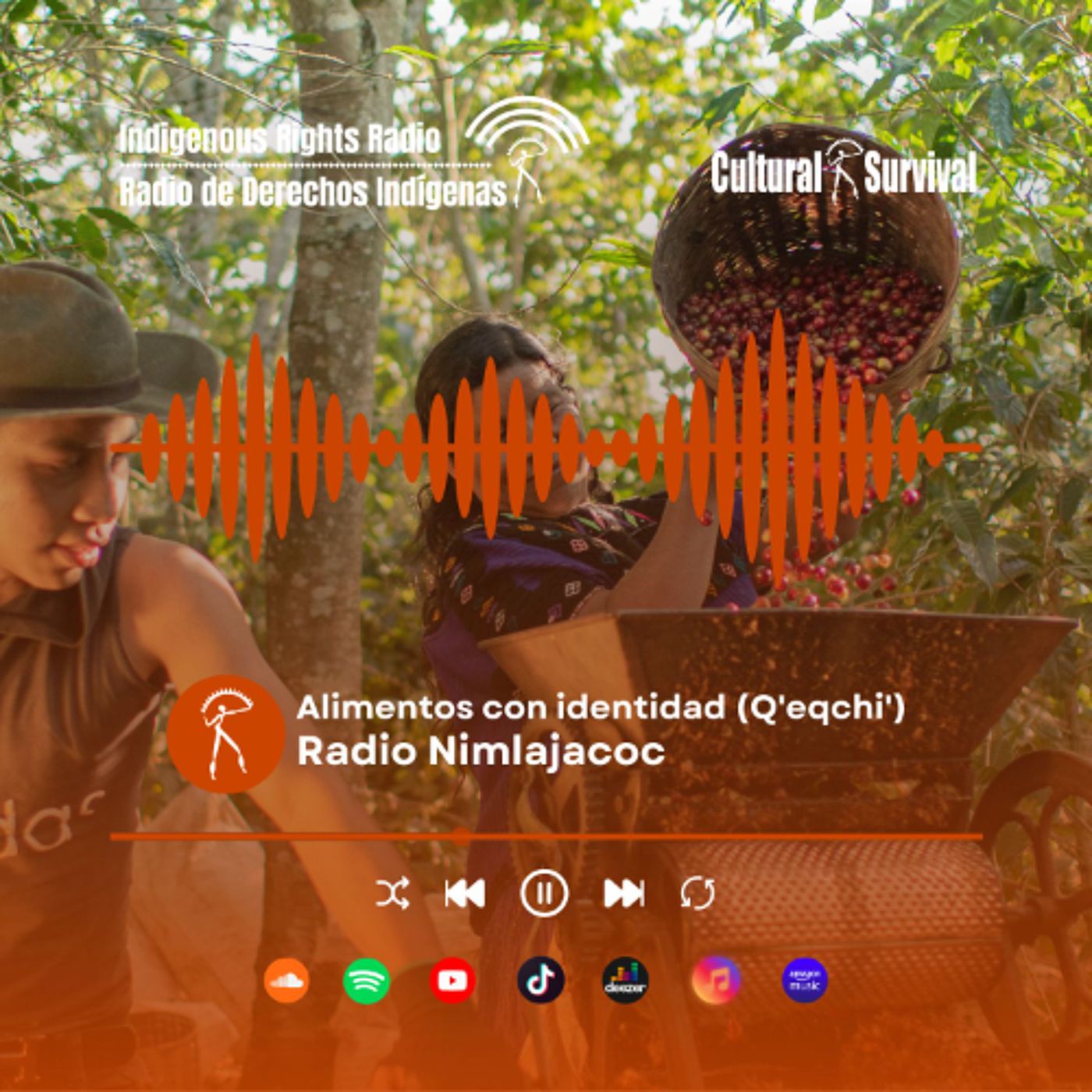 Alimentos con identidad (Q'eqchi') - Radio Nimlajacoc