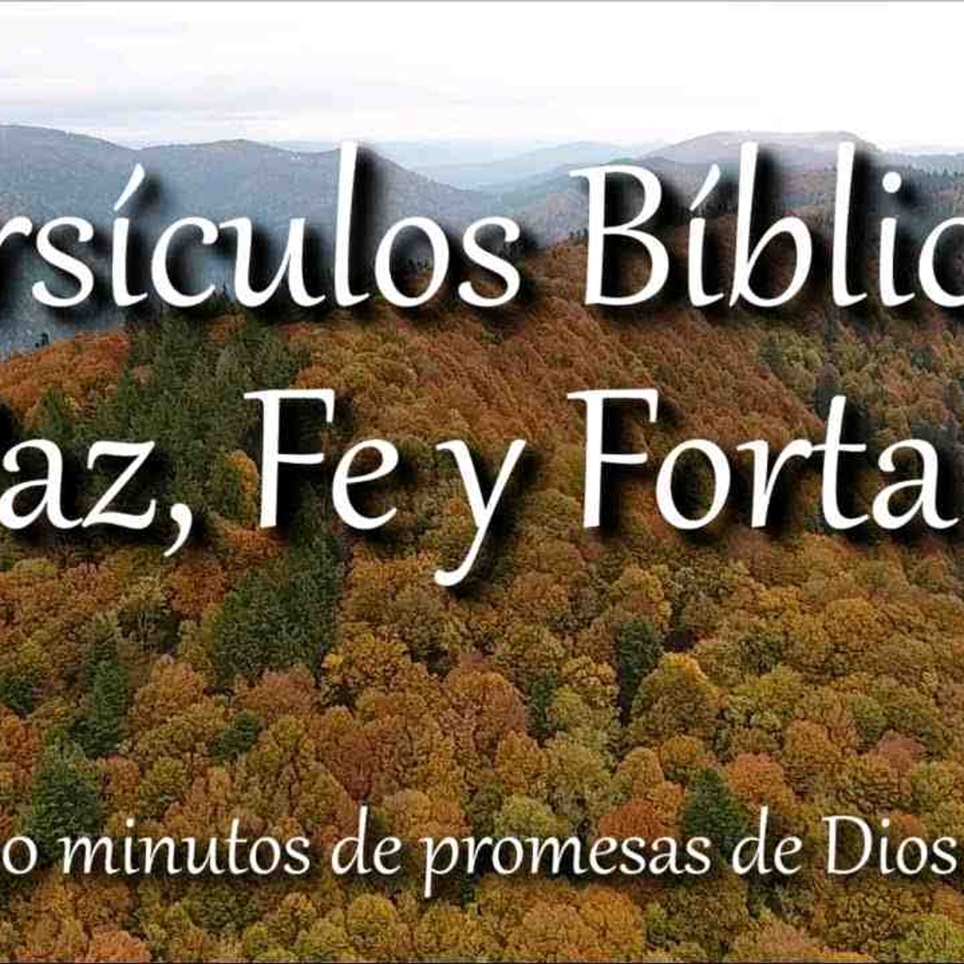 Versículos  Bíblicos que te llenarán de Paz_ Fe y Fortaleza _ Biblia hablada _ Bible audio(MP3_160K)_1 episode artwork