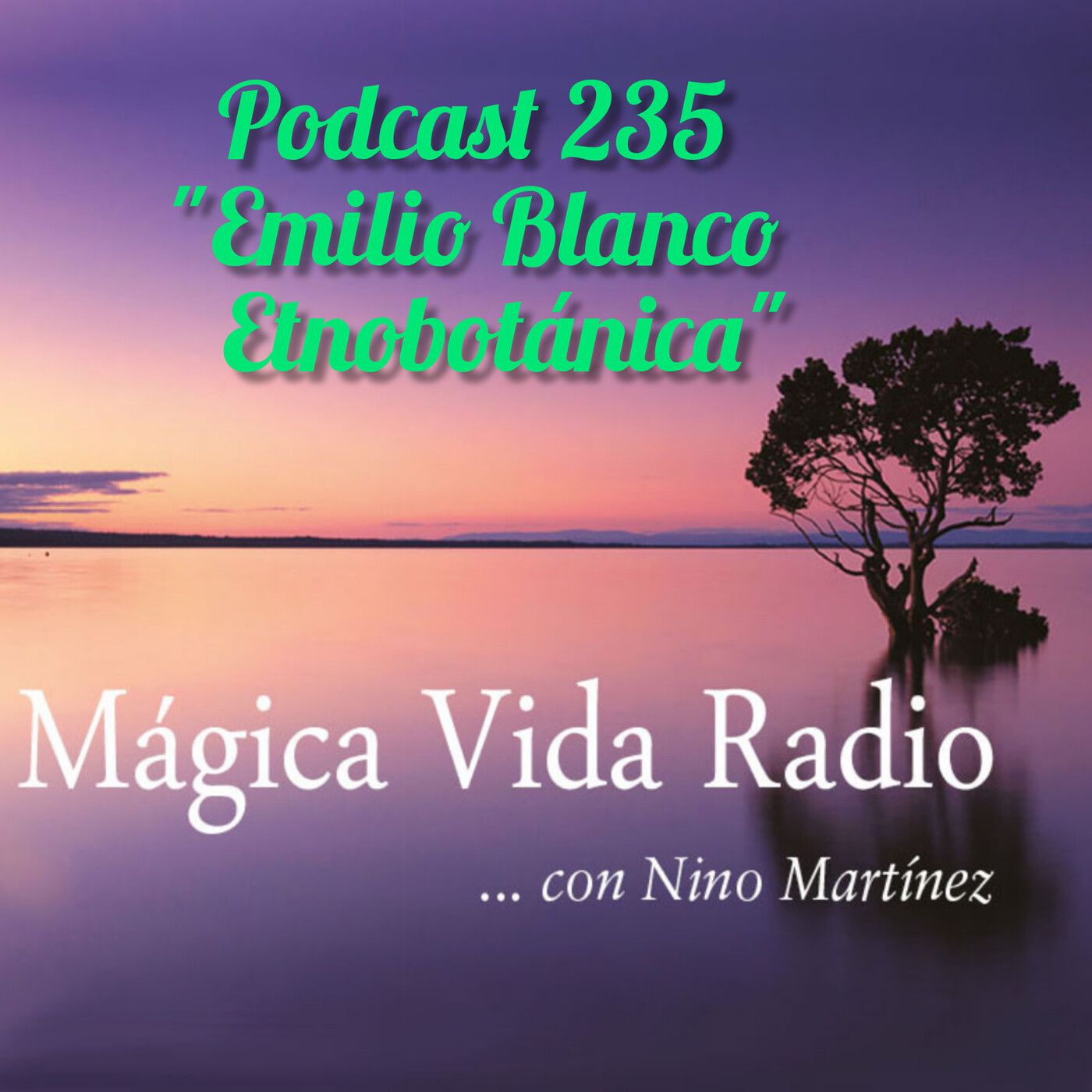 Mágica Vida Radio