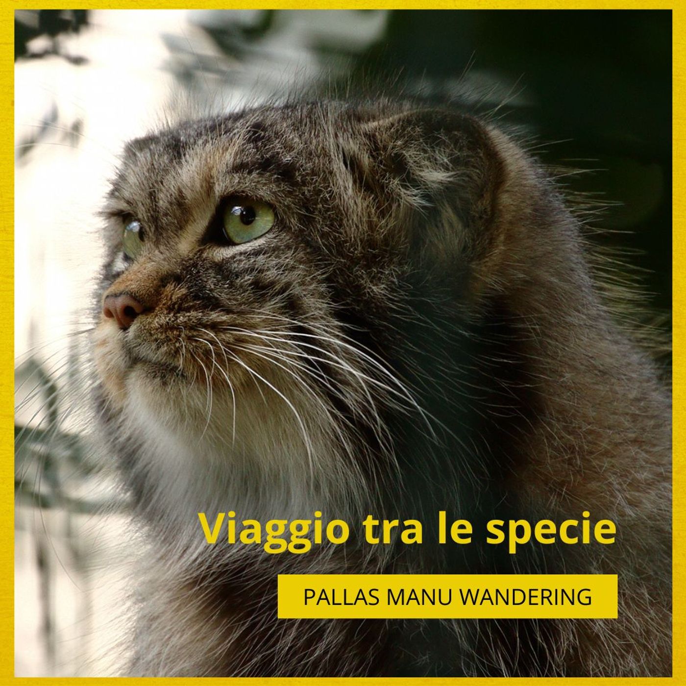 Viaggio tra le specie episode artwork