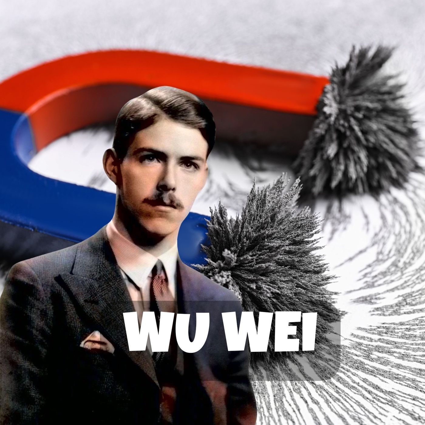 🌀The Art of Not Forcing 🌊 | Alan Watts on Wuwei, Wonder & the Mystery of Being