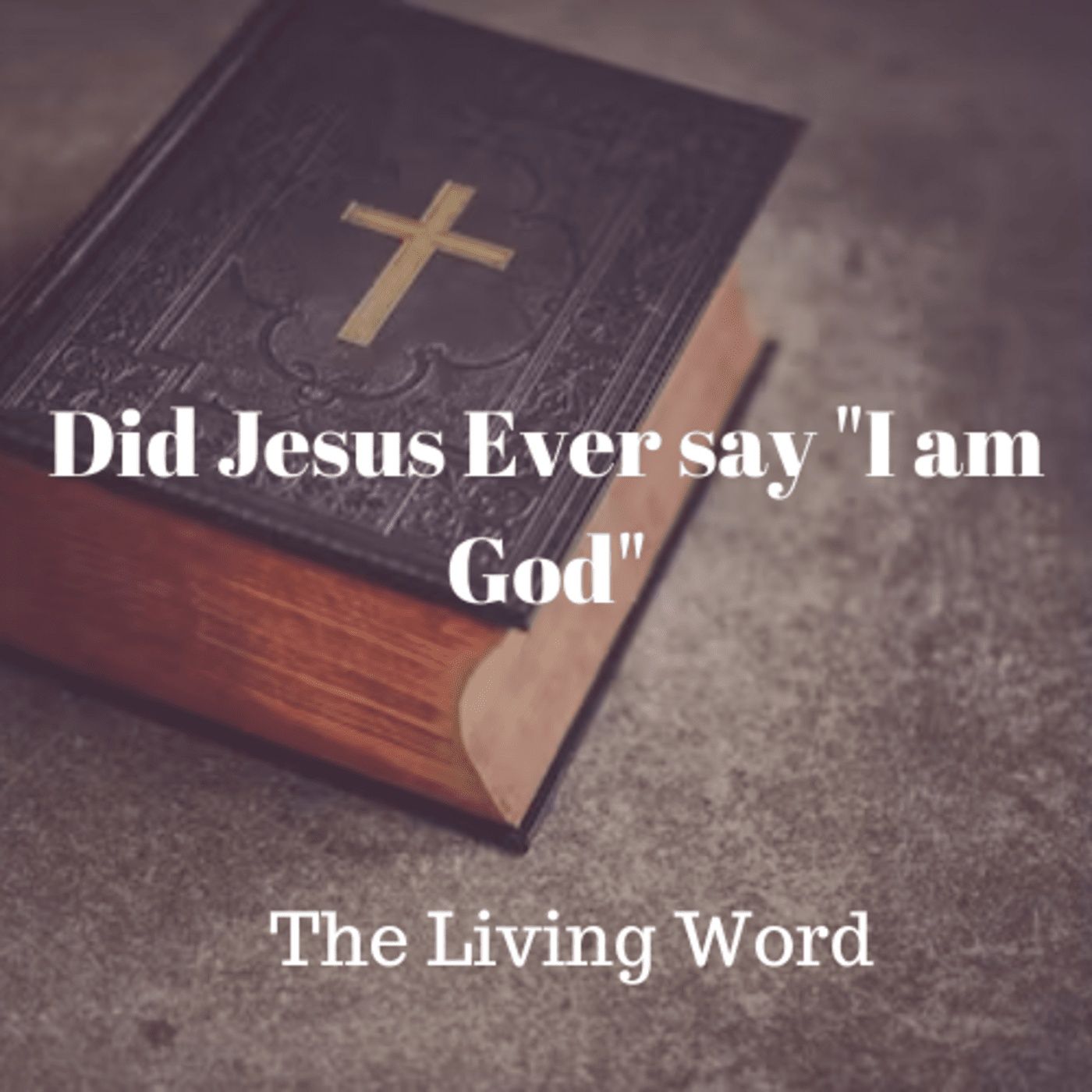 Did Jesus Ever say "I am God" episode artwork