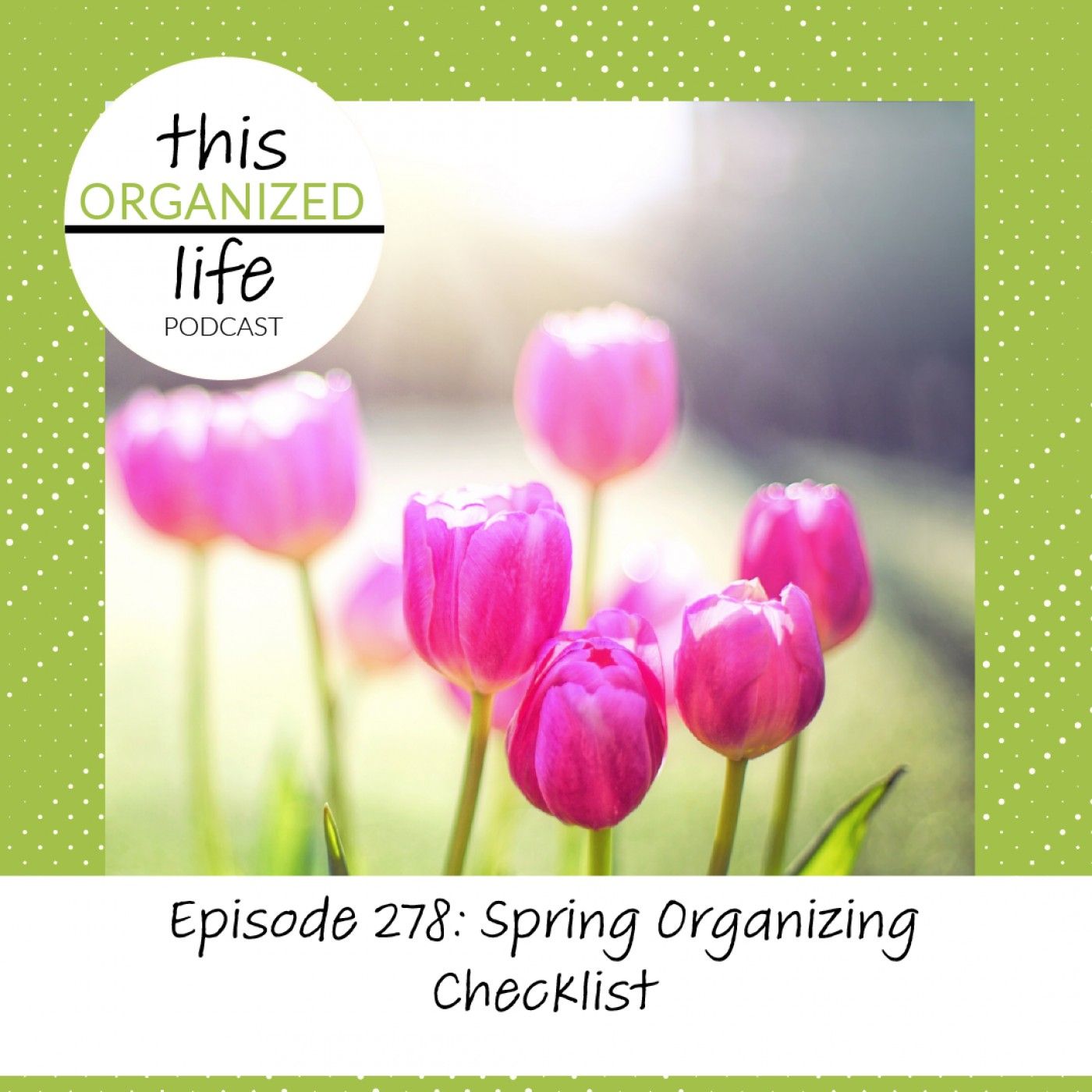 Ep 278: Spring Organizing Checklist