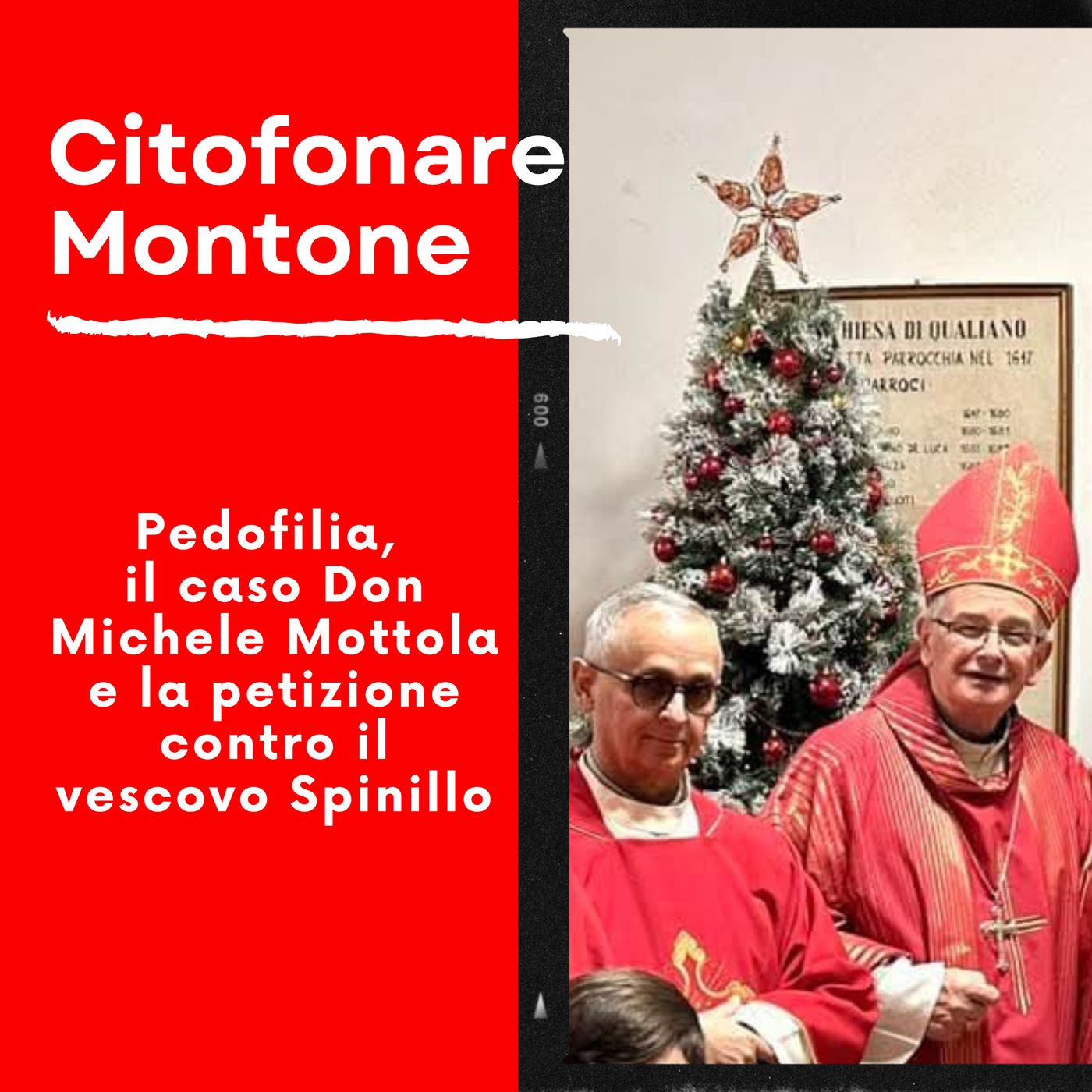 Citofonare Montone