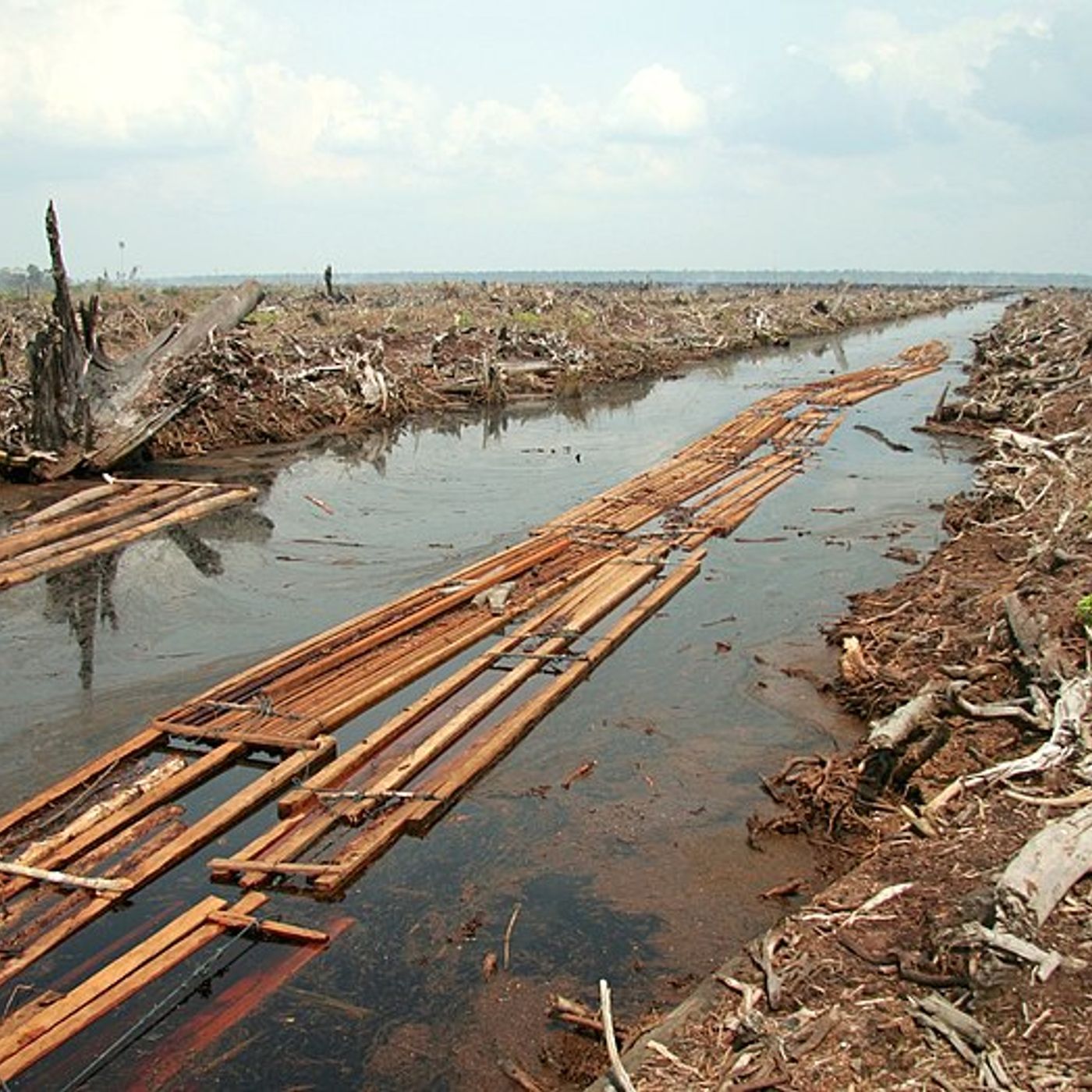 Le news di Re Soil Foundation