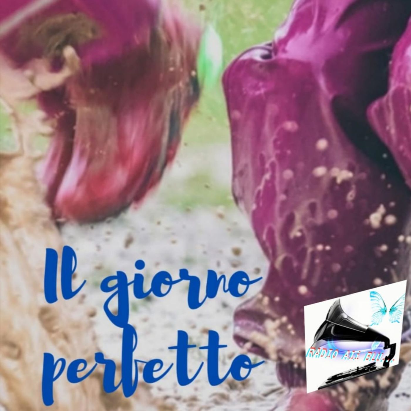 Radio Ali Blu... Il podcast delle emozioni!